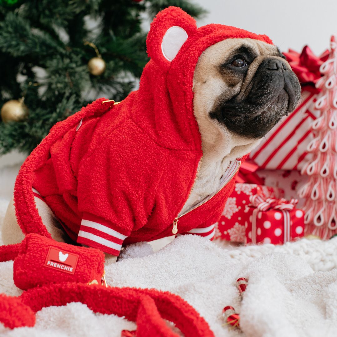 Frenchie Dog Hoodie - Teddy Red