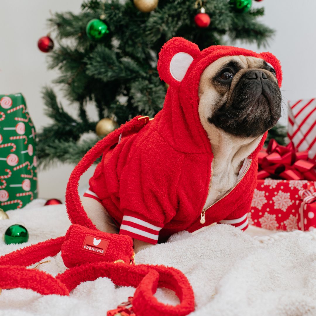 Frenchie Dog Hoodie - Teddy Red