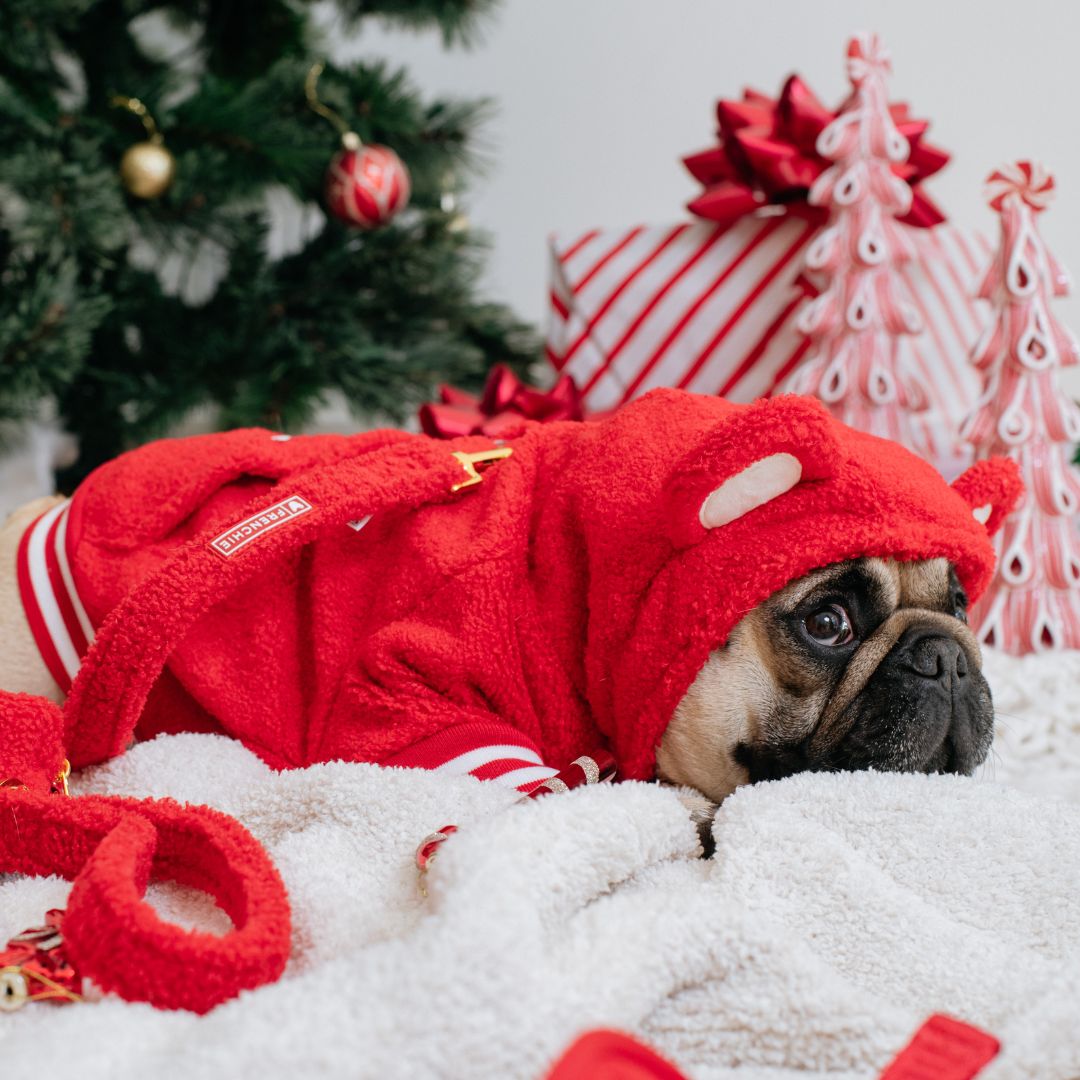 Frenchie Dog Hoodie - Teddy Red