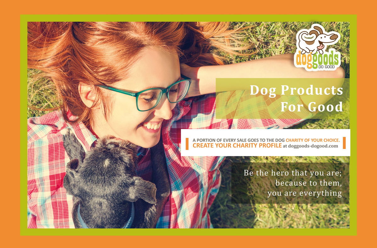 Dog Leash Fanny Pack (The Everything Leash) by DogGoods