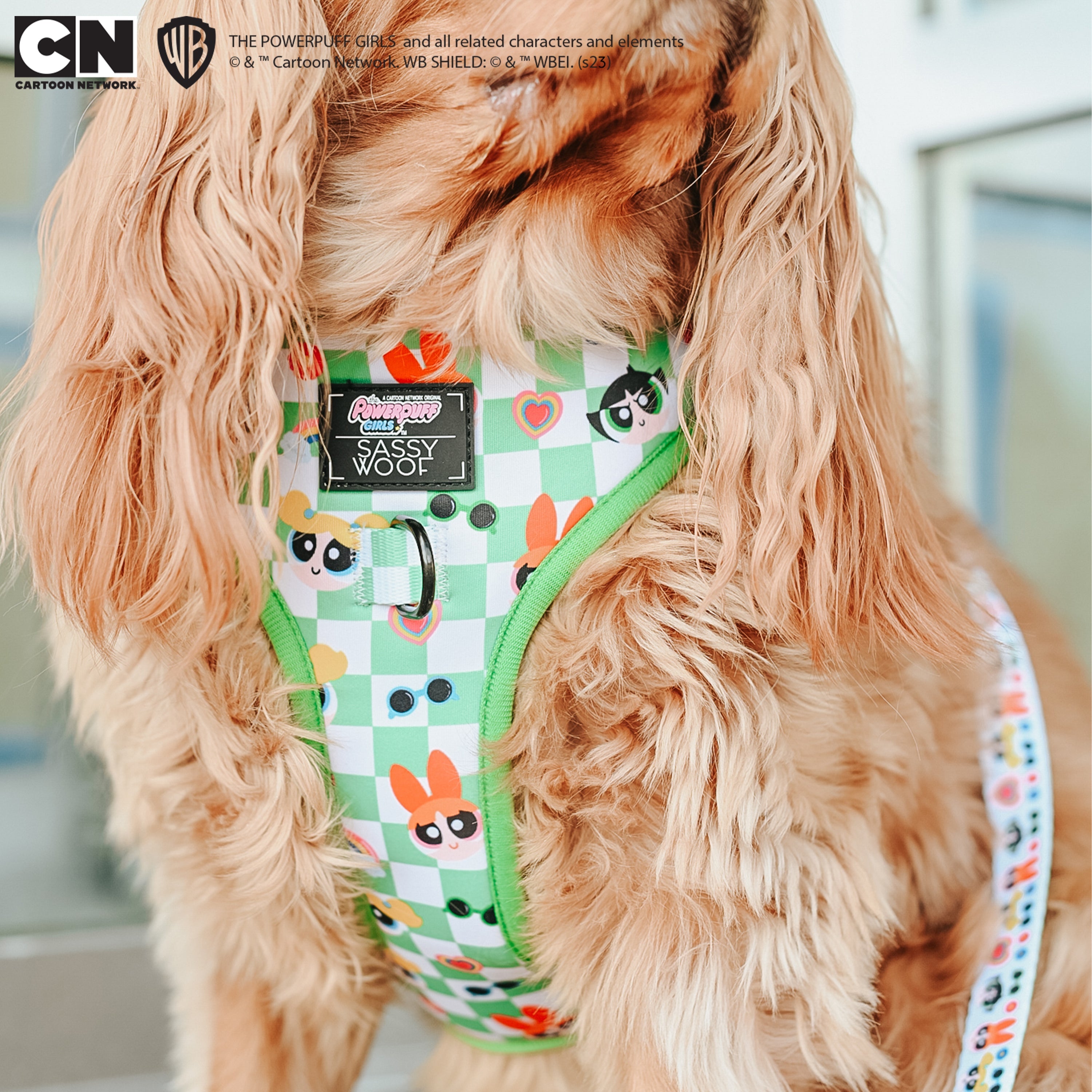 Dog Adjustable Harness - The Powerpuff Girls™ (Green)