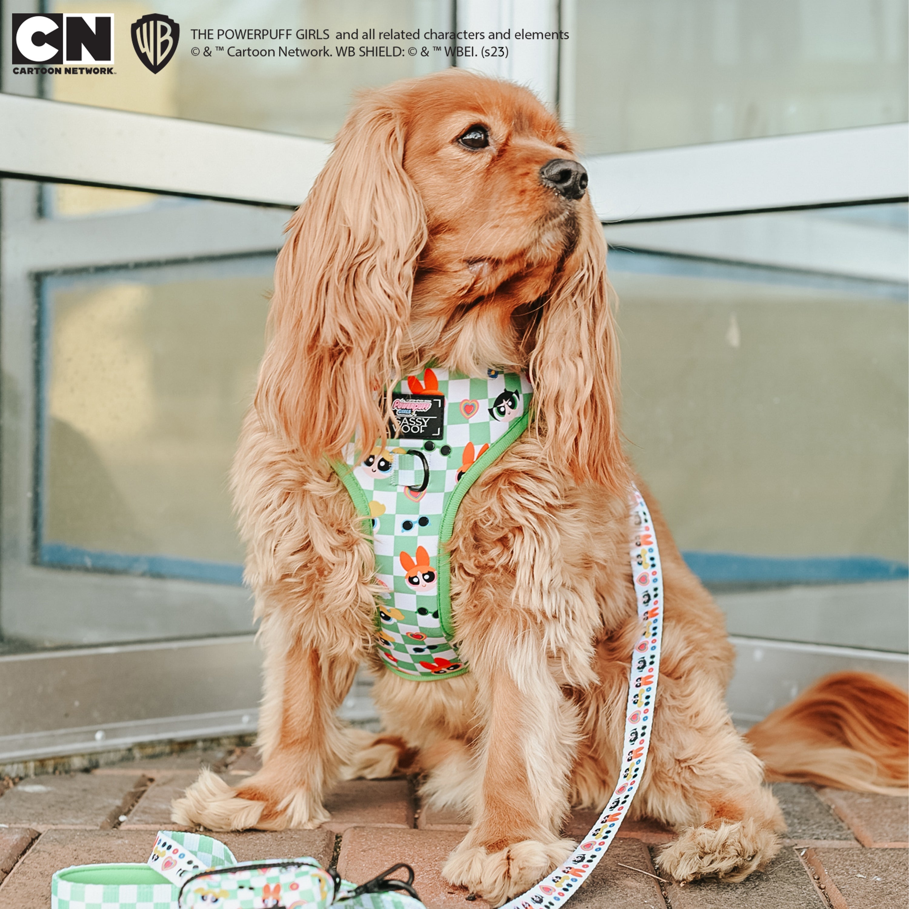 Dog Leash - The Powerpuff Girls™ (Green)