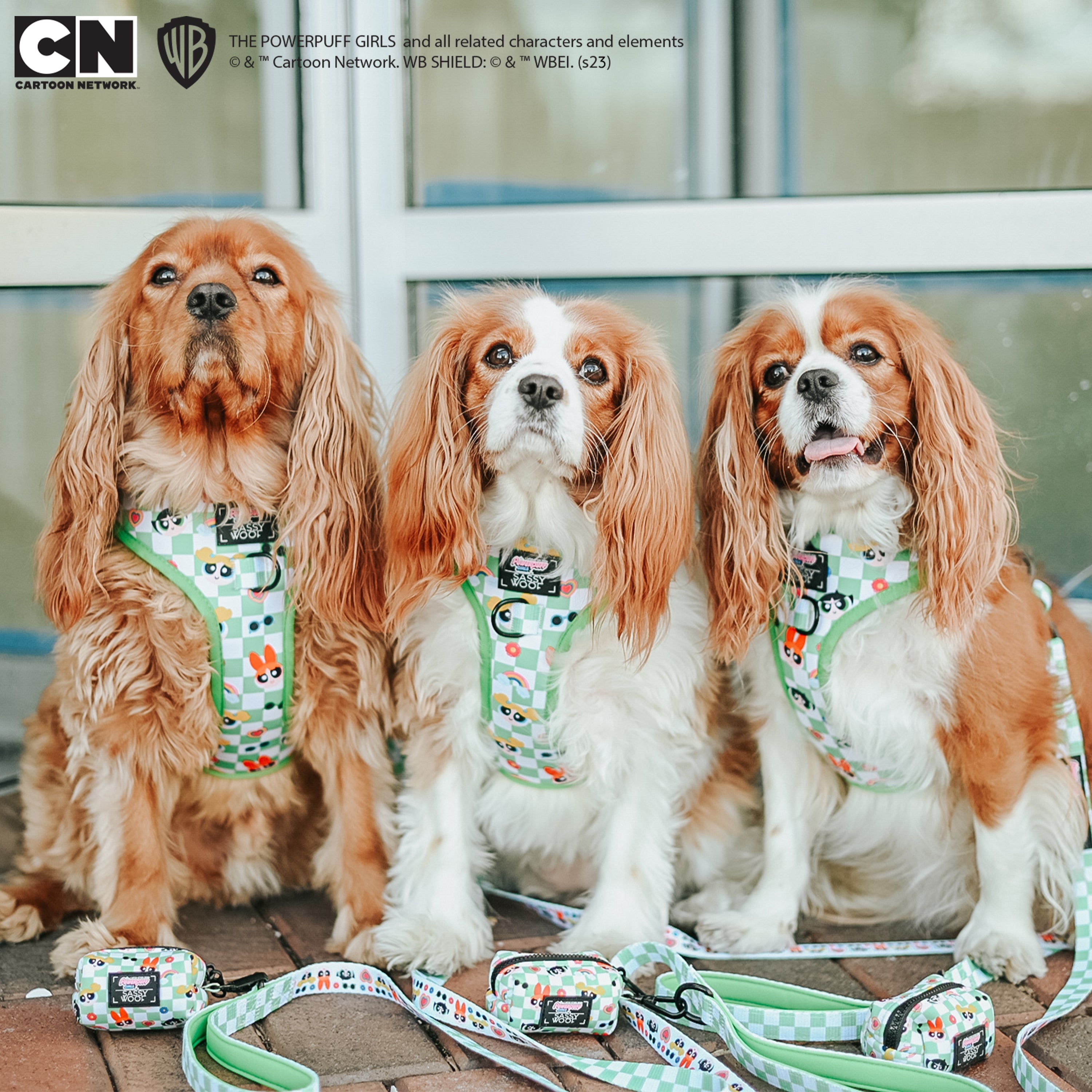 Dog Leash - The Powerpuff Girls™ (Green)
