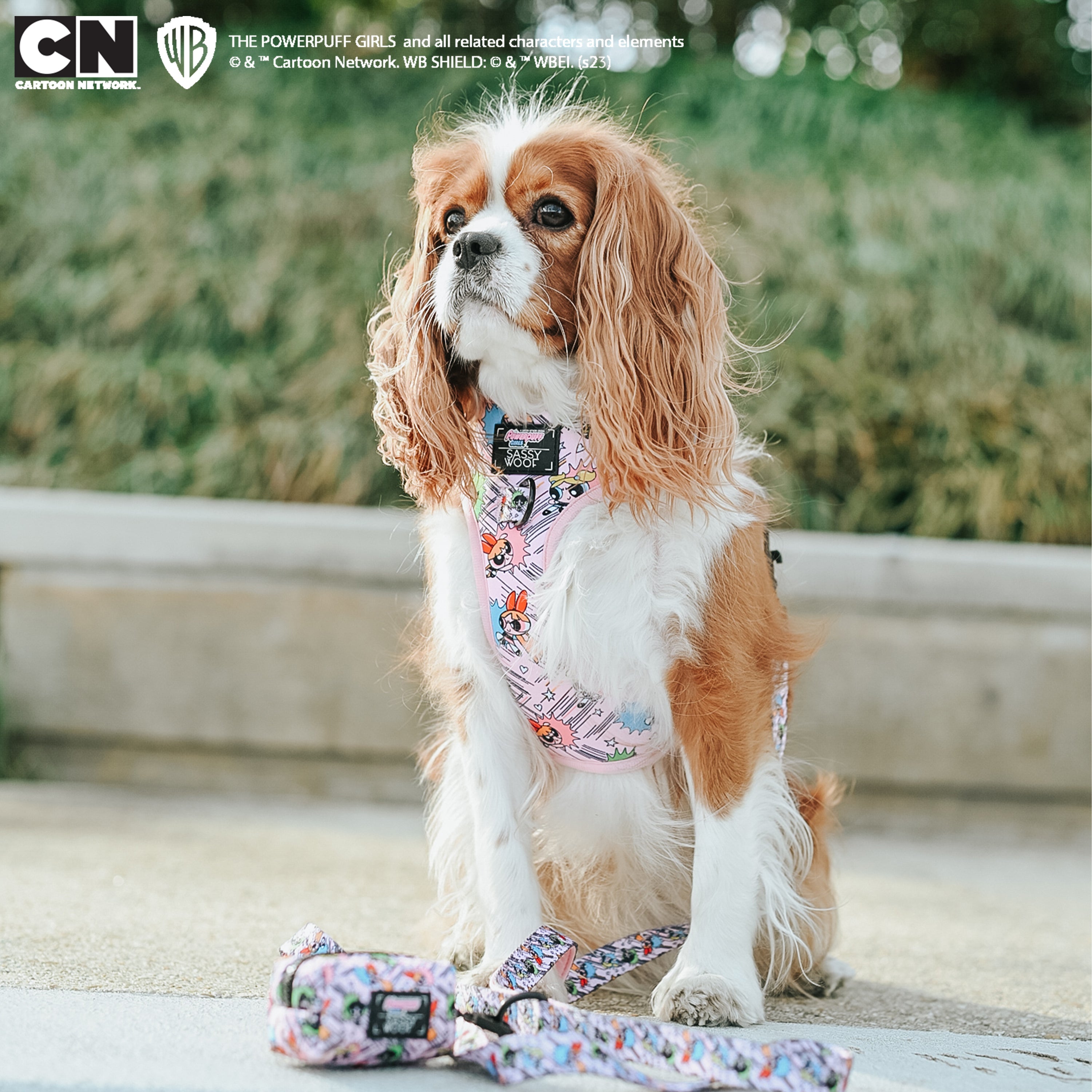 Dog Leash - The Powerpuff Girls™ (Pink)