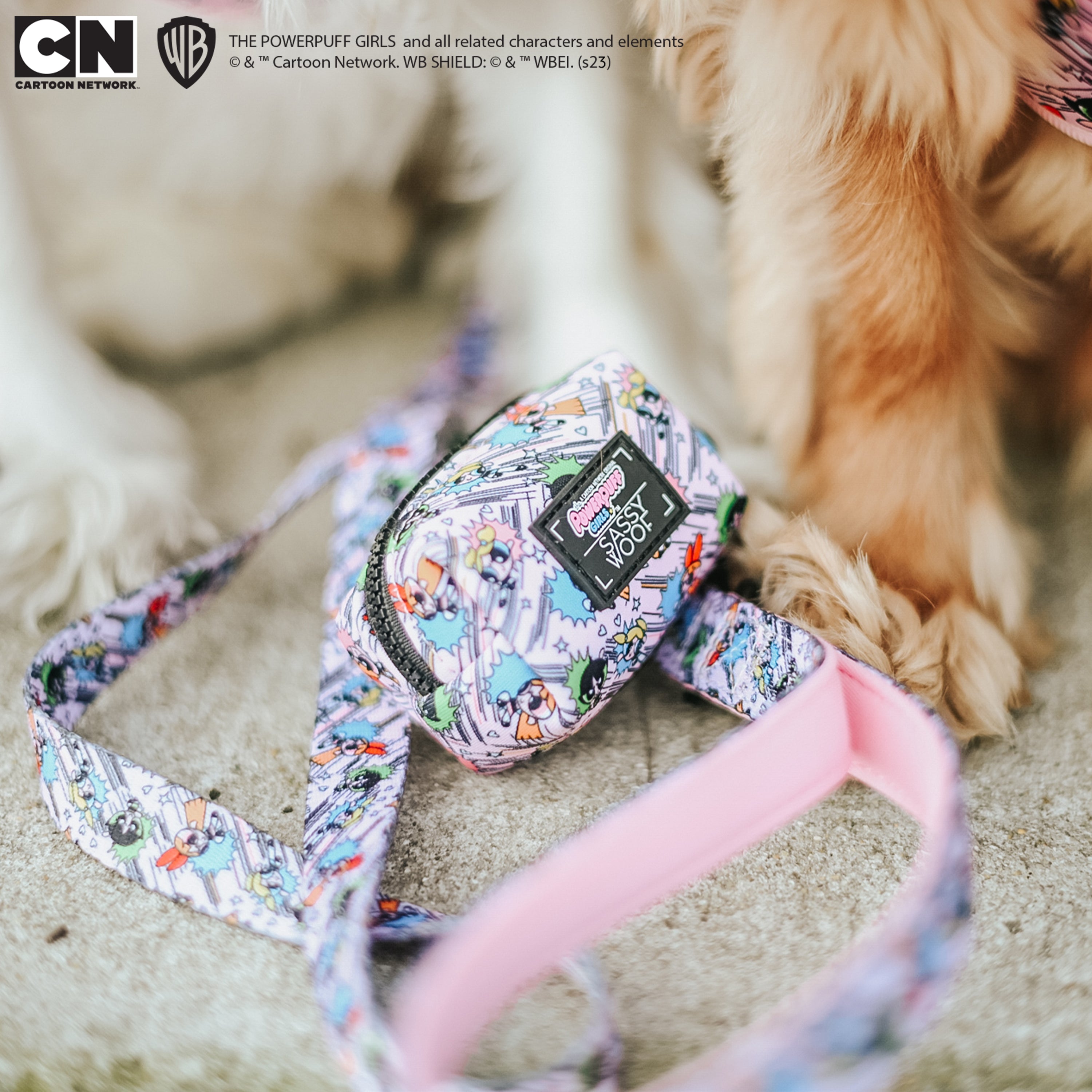 Dog Leash - The Powerpuff Girls™ (Pink)