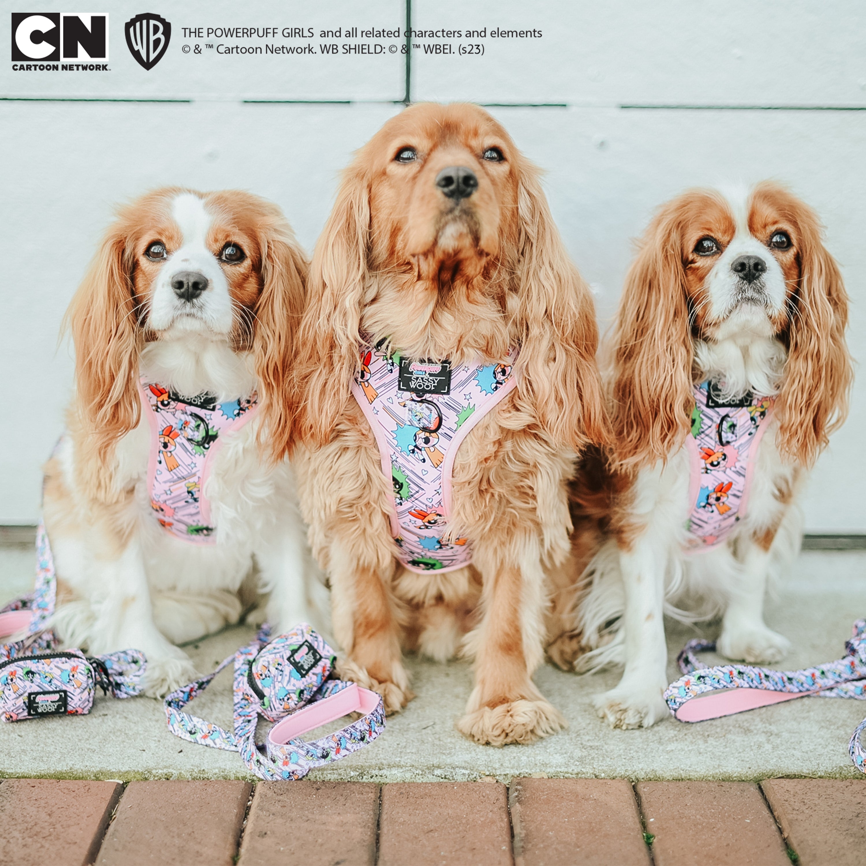 Dog Adjustable Harness - The Powerpuff Girls™ (Pink)