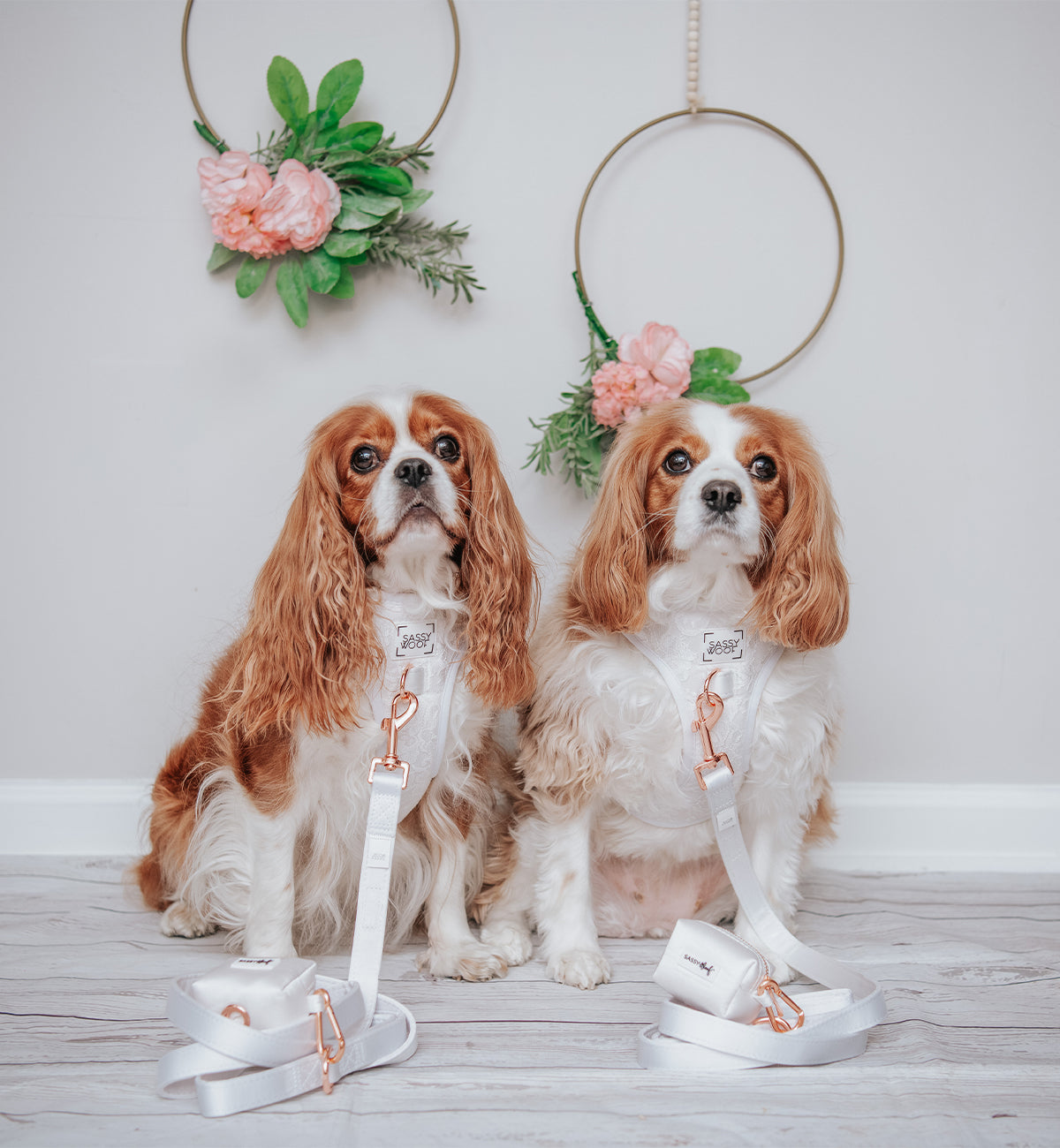 Dog Leash - Pup of Honor