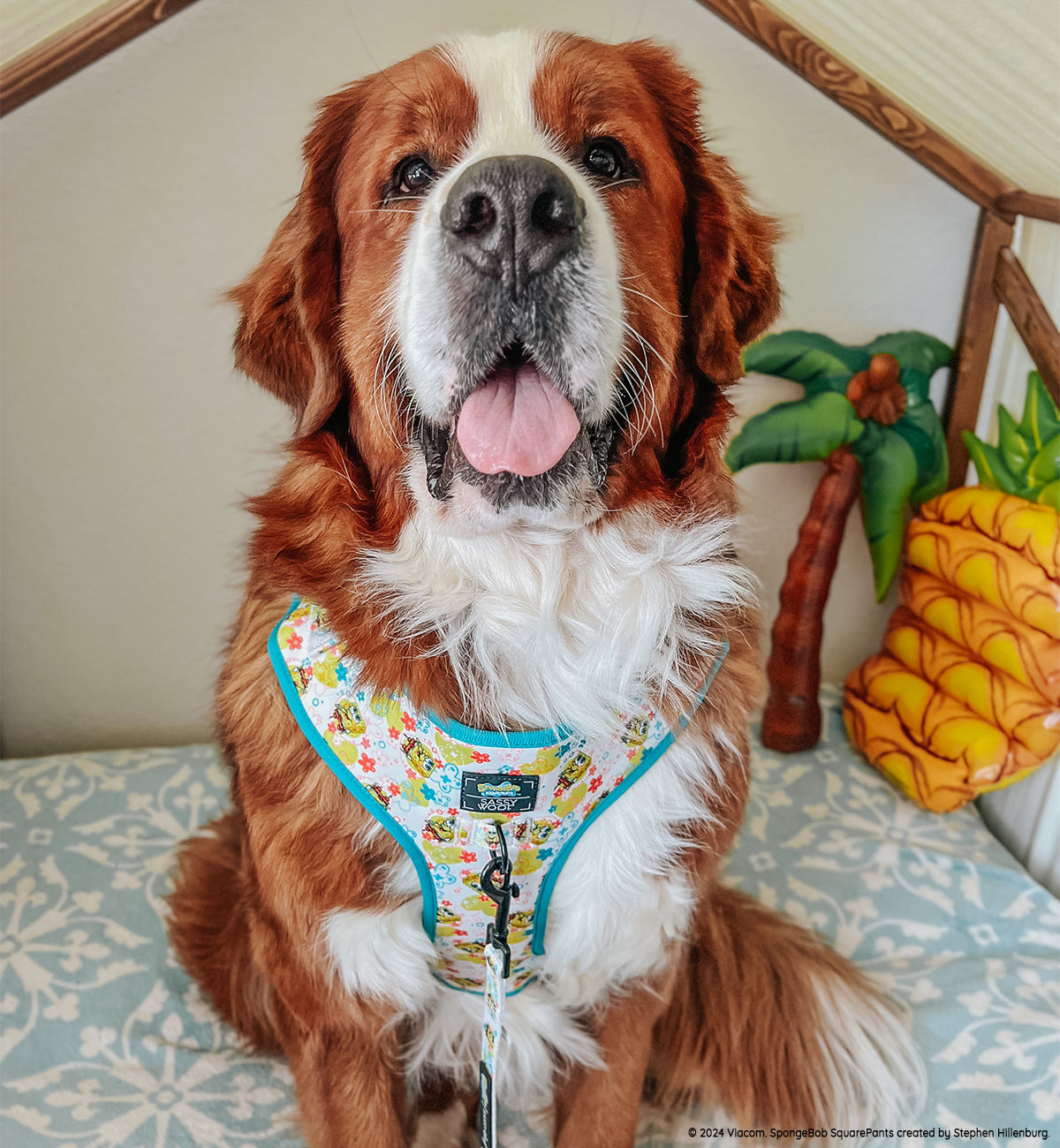 Dog Adjustable Harness - SpongeBob SquarePants™ Bikini Bottom