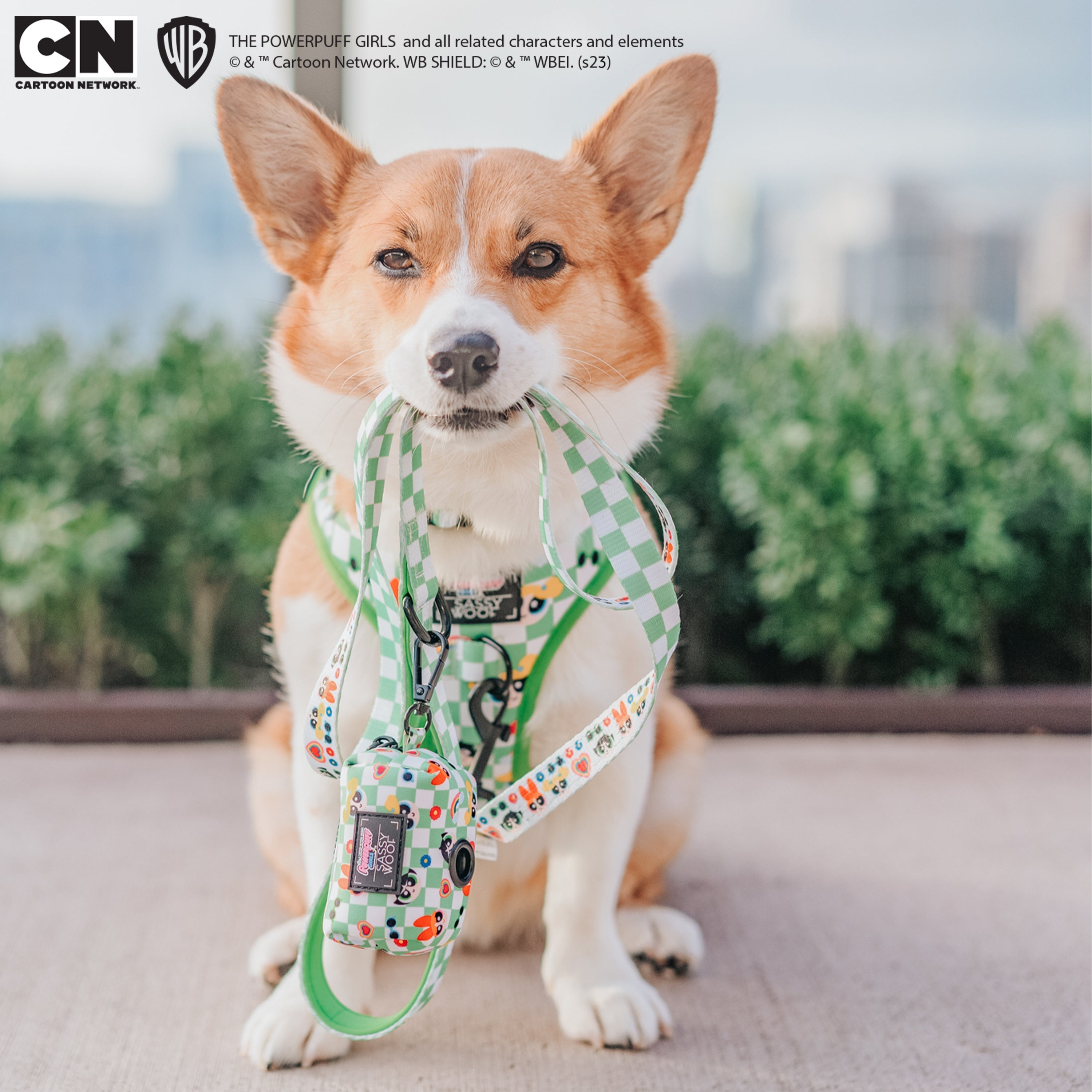 Dog Leash - The Powerpuff Girls™ (Green)