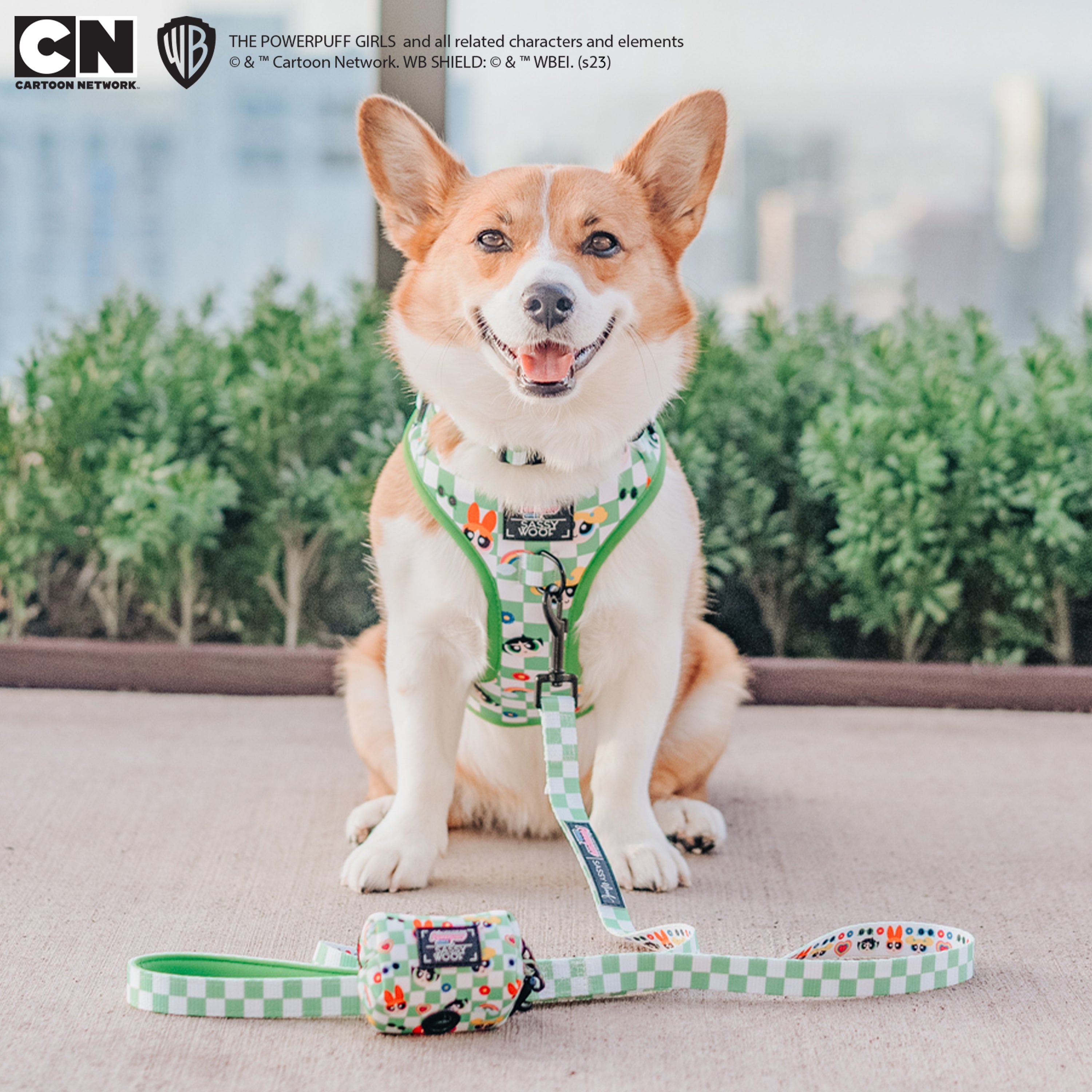 Dog Adjustable Harness - The Powerpuff Girls™ (Green)
