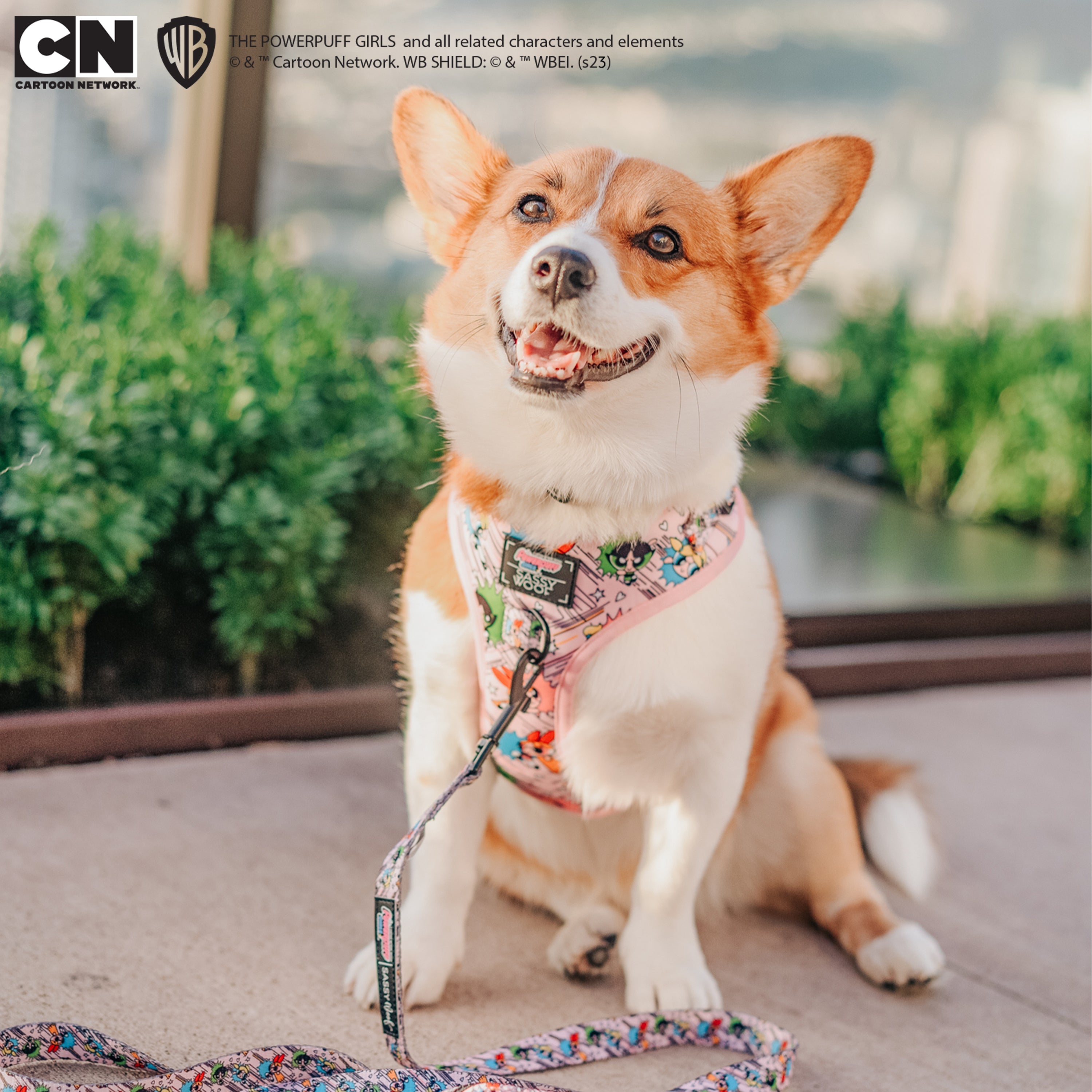 Dog Adjustable Harness - The Powerpuff Girls™ (Pink)