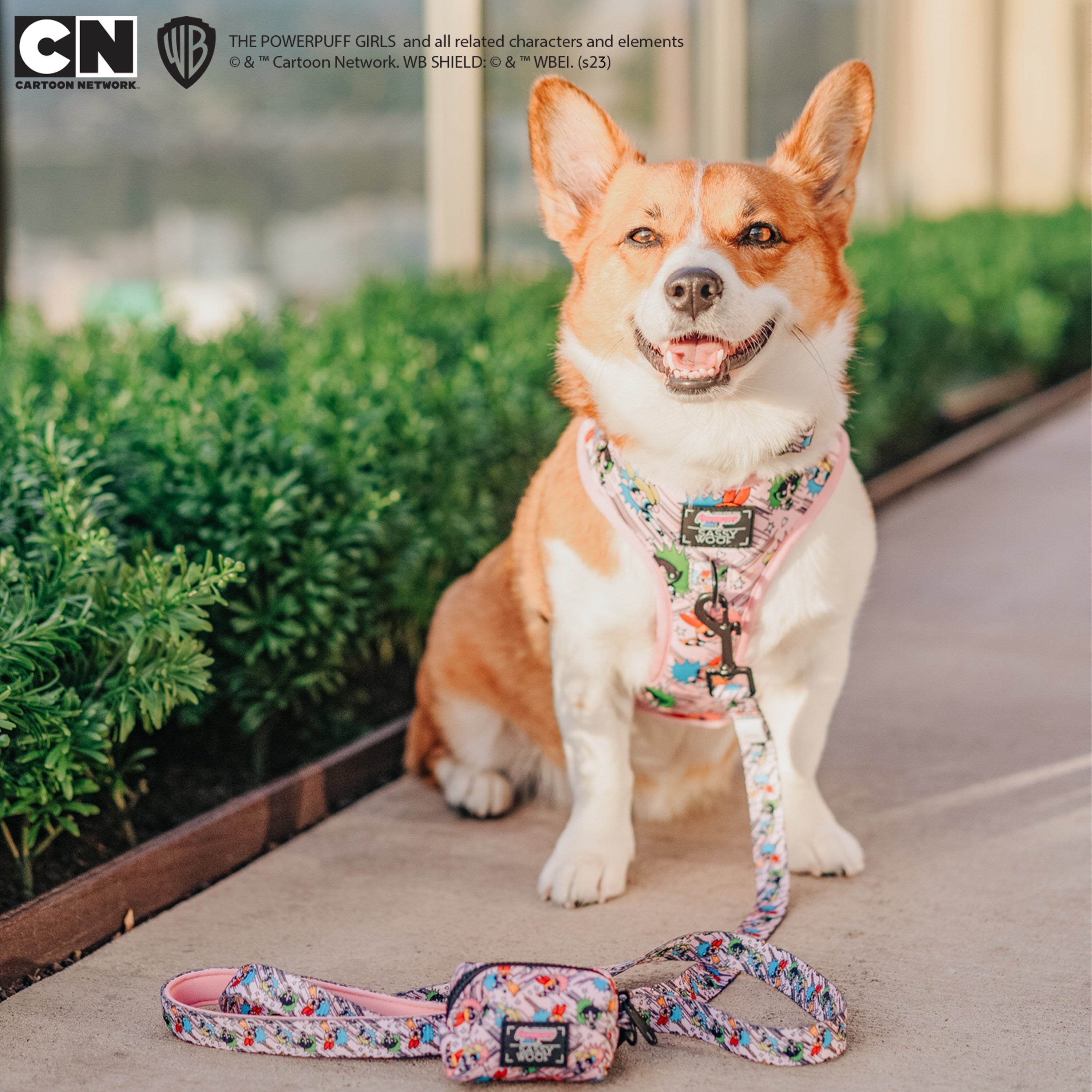Dog Leash - The Powerpuff Girls™ (Pink)
