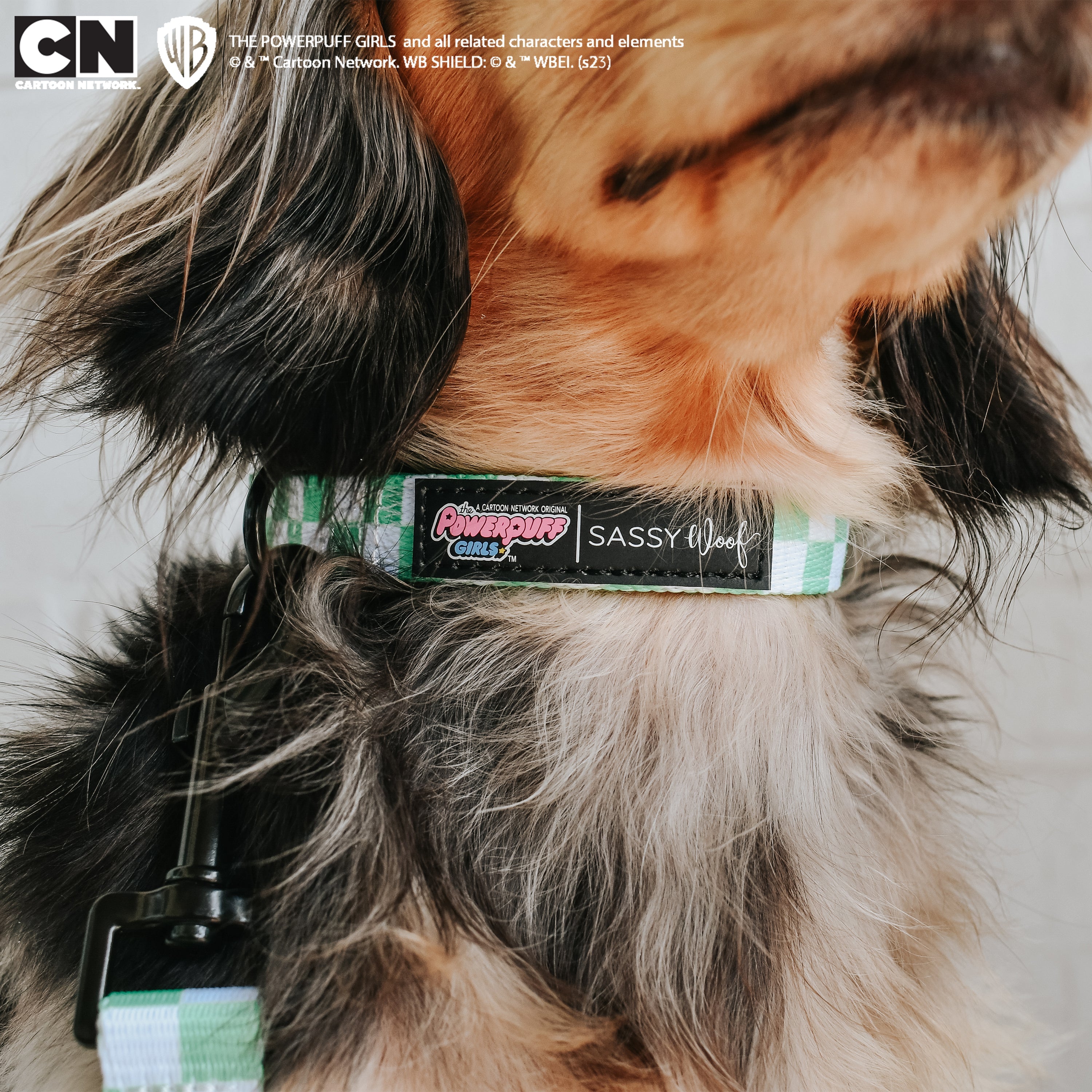 Dog Collar - The Powerpuff Girls™ (Green)