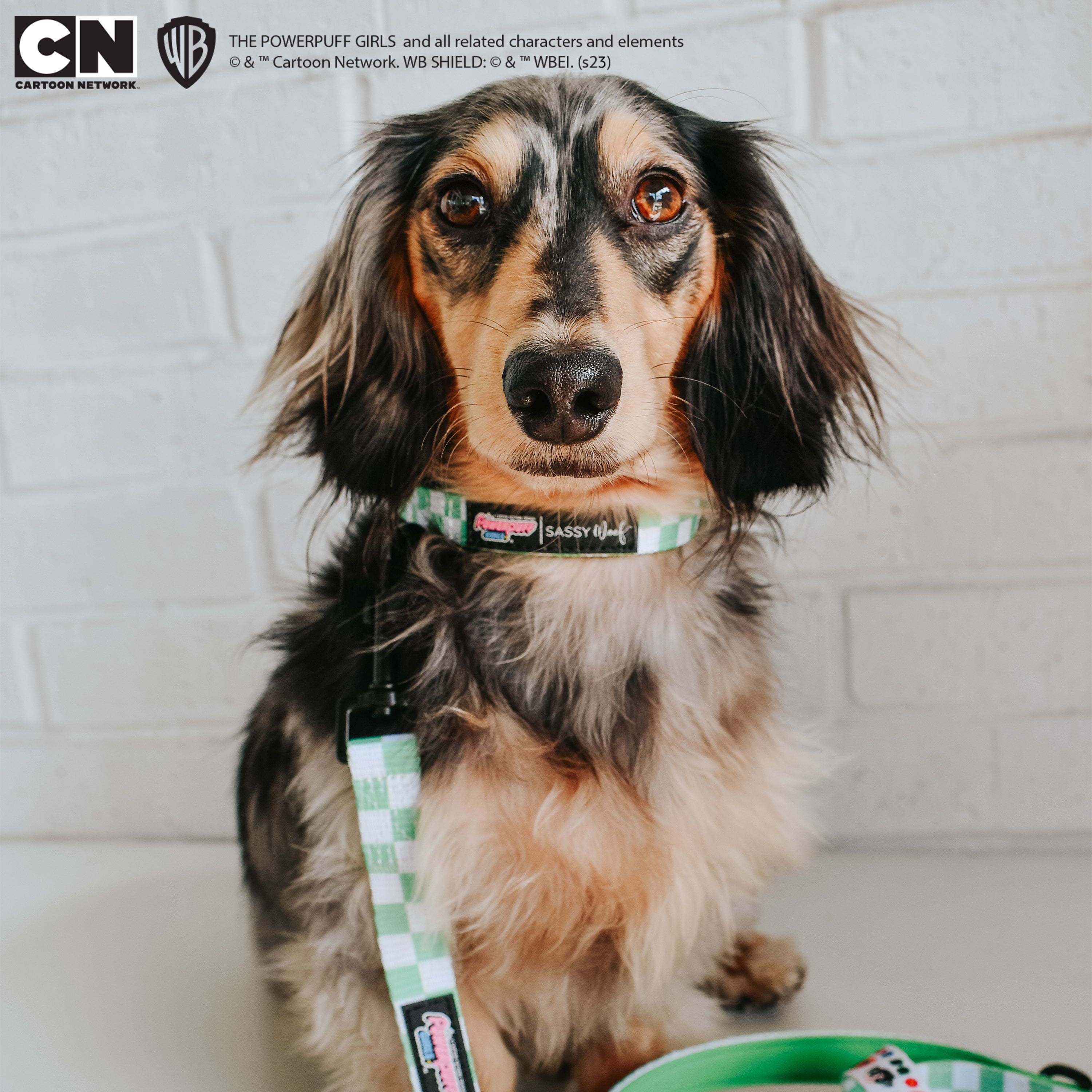 Dog Collar - The Powerpuff Girls™ (Green)