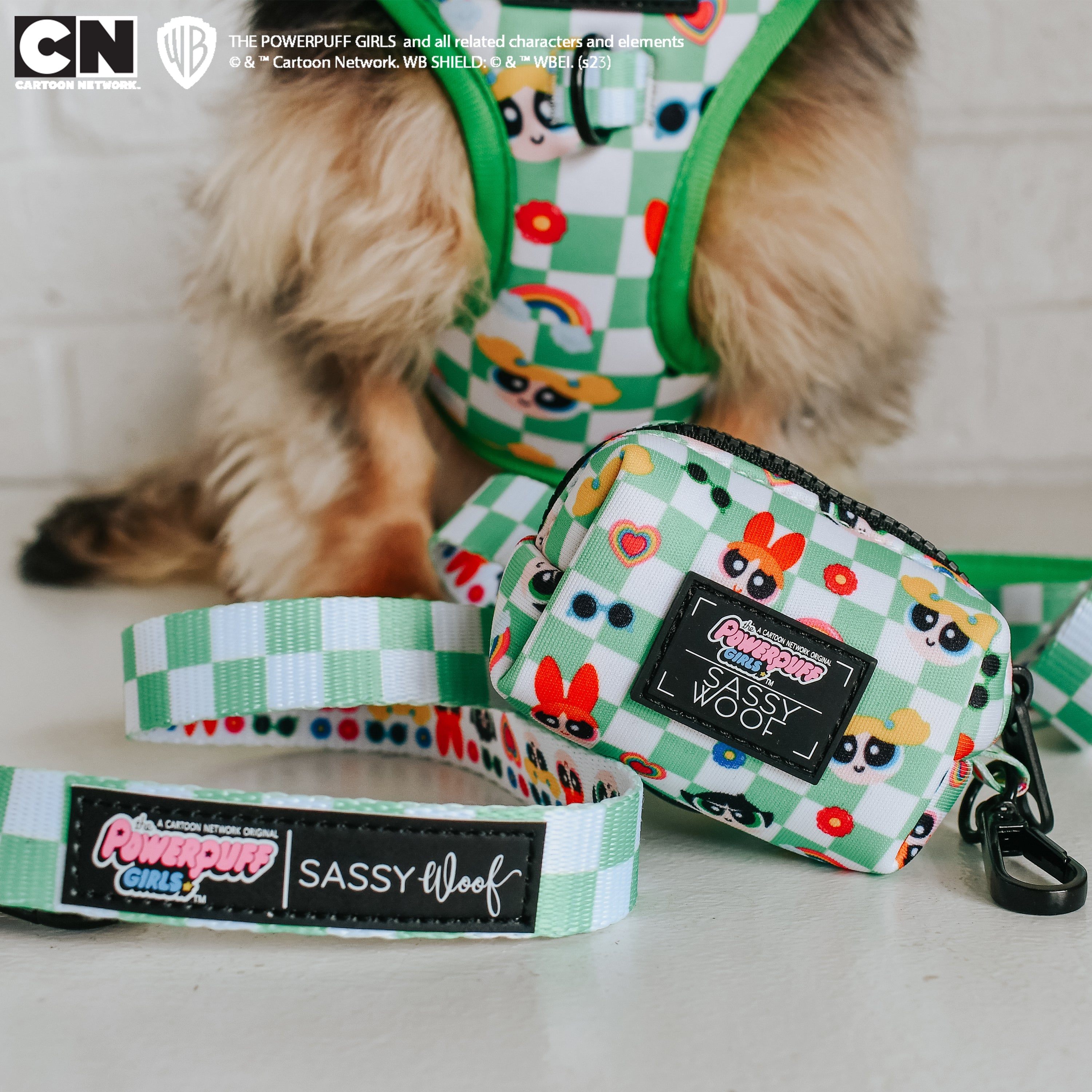 Dog Leash - The Powerpuff Girls™ (Green)