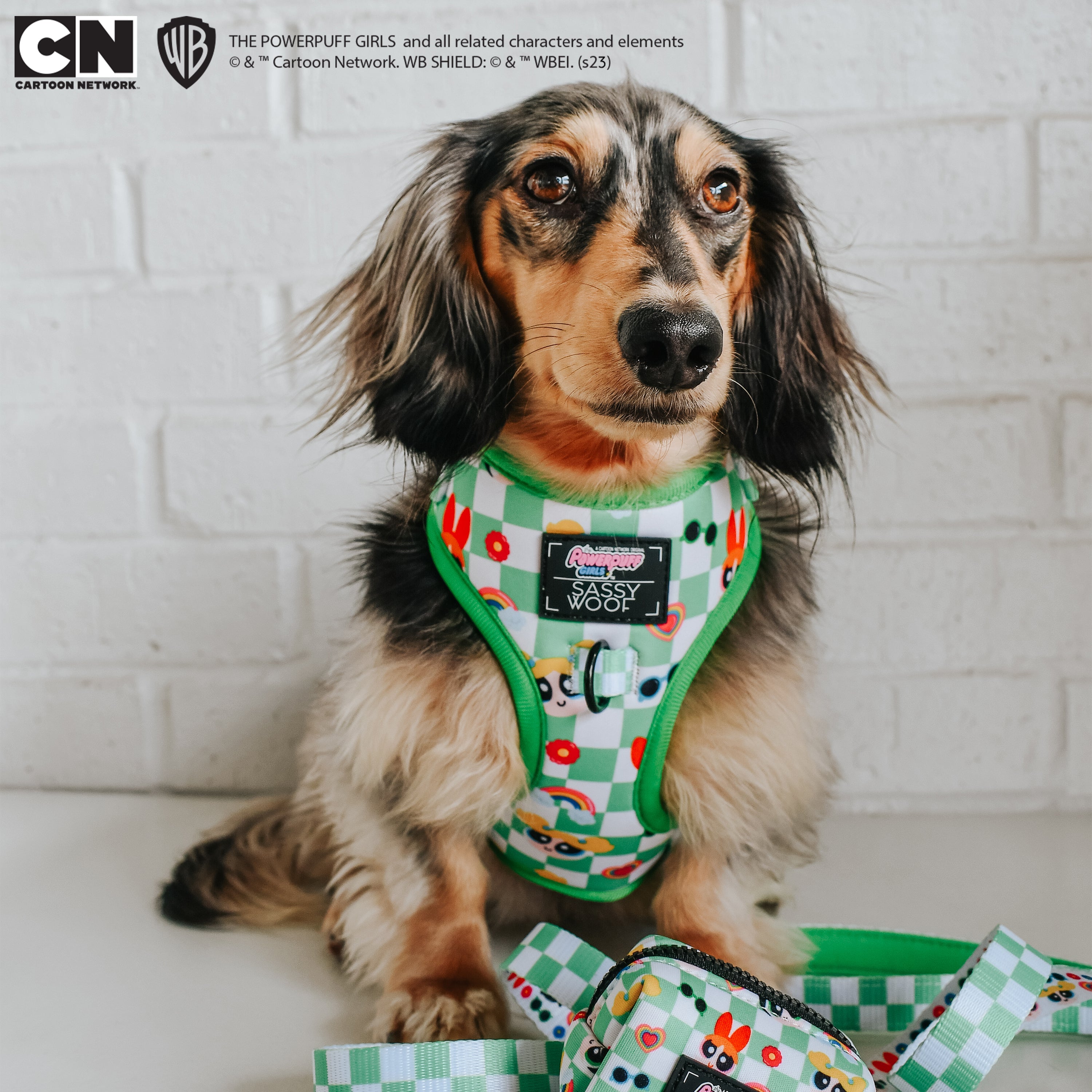 Dog Adjustable Harness - The Powerpuff Girls™ (Green)