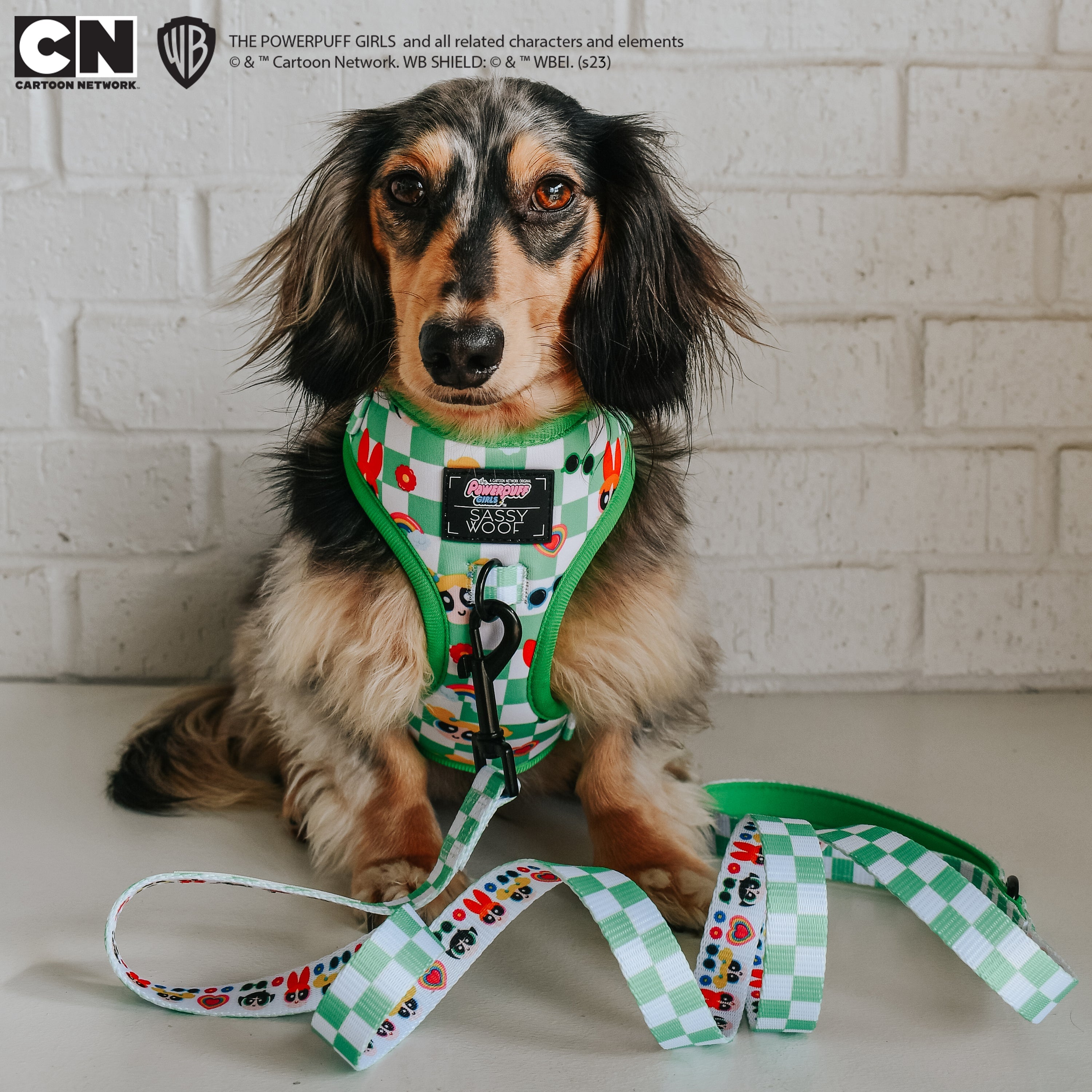 Dog Leash - The Powerpuff Girls™ (Green)