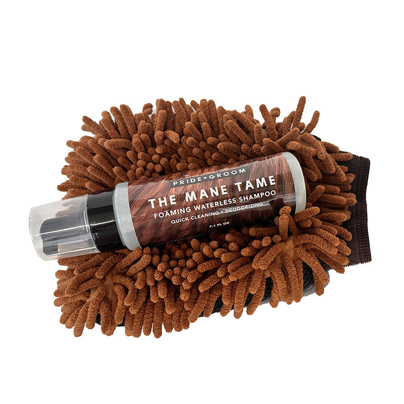 THE MAGIC MANE TAME MITT