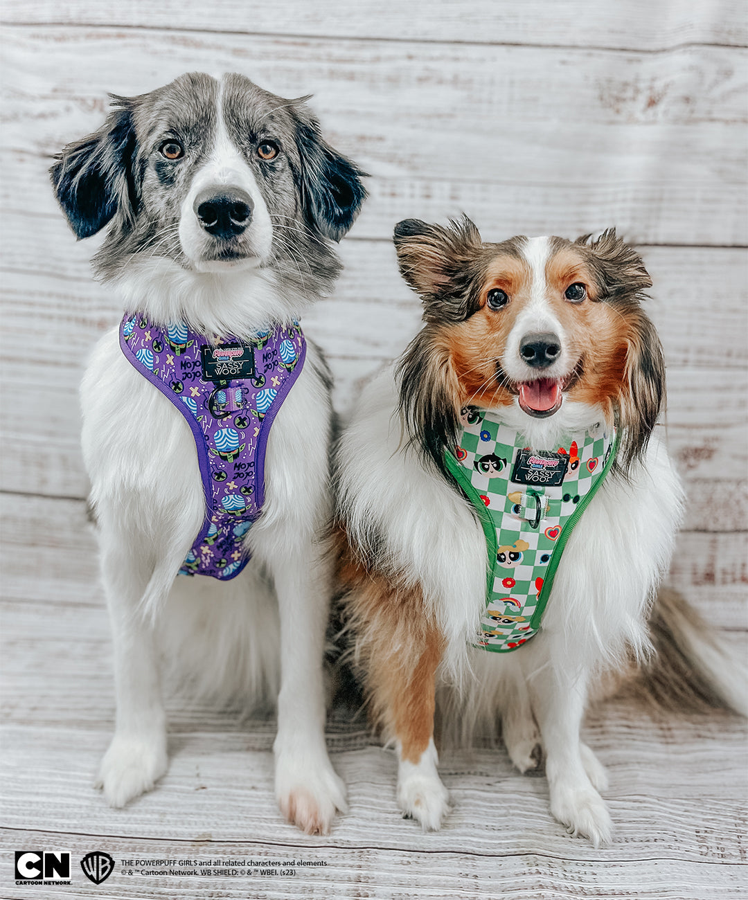 Dog Adjustable Harness - Mojo Jojo™