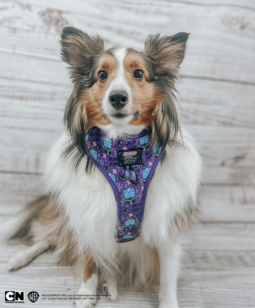 Dog Adjustable Harness - Mojo Jojo™