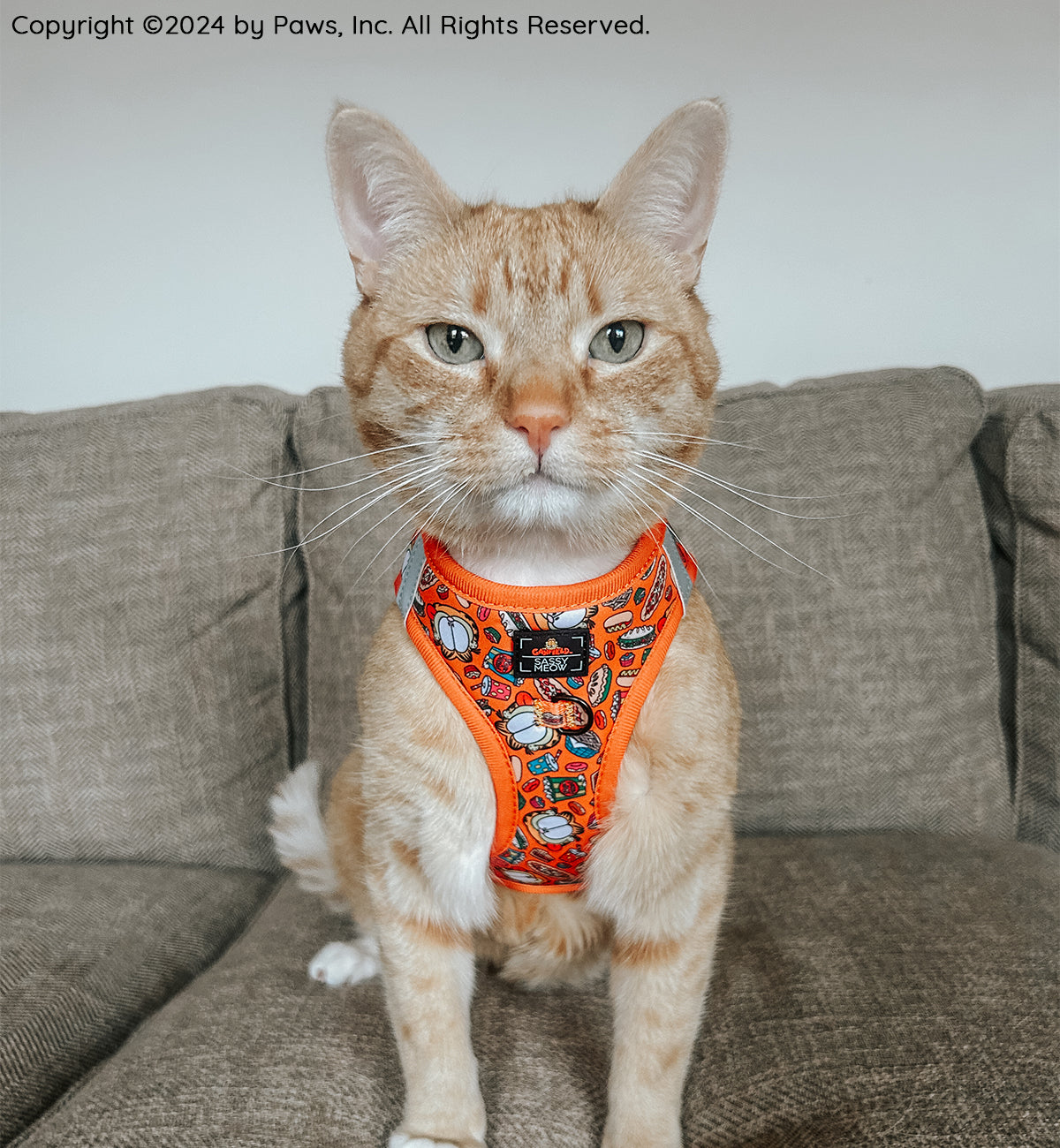 Cat Step-In Harness - Garfield™️