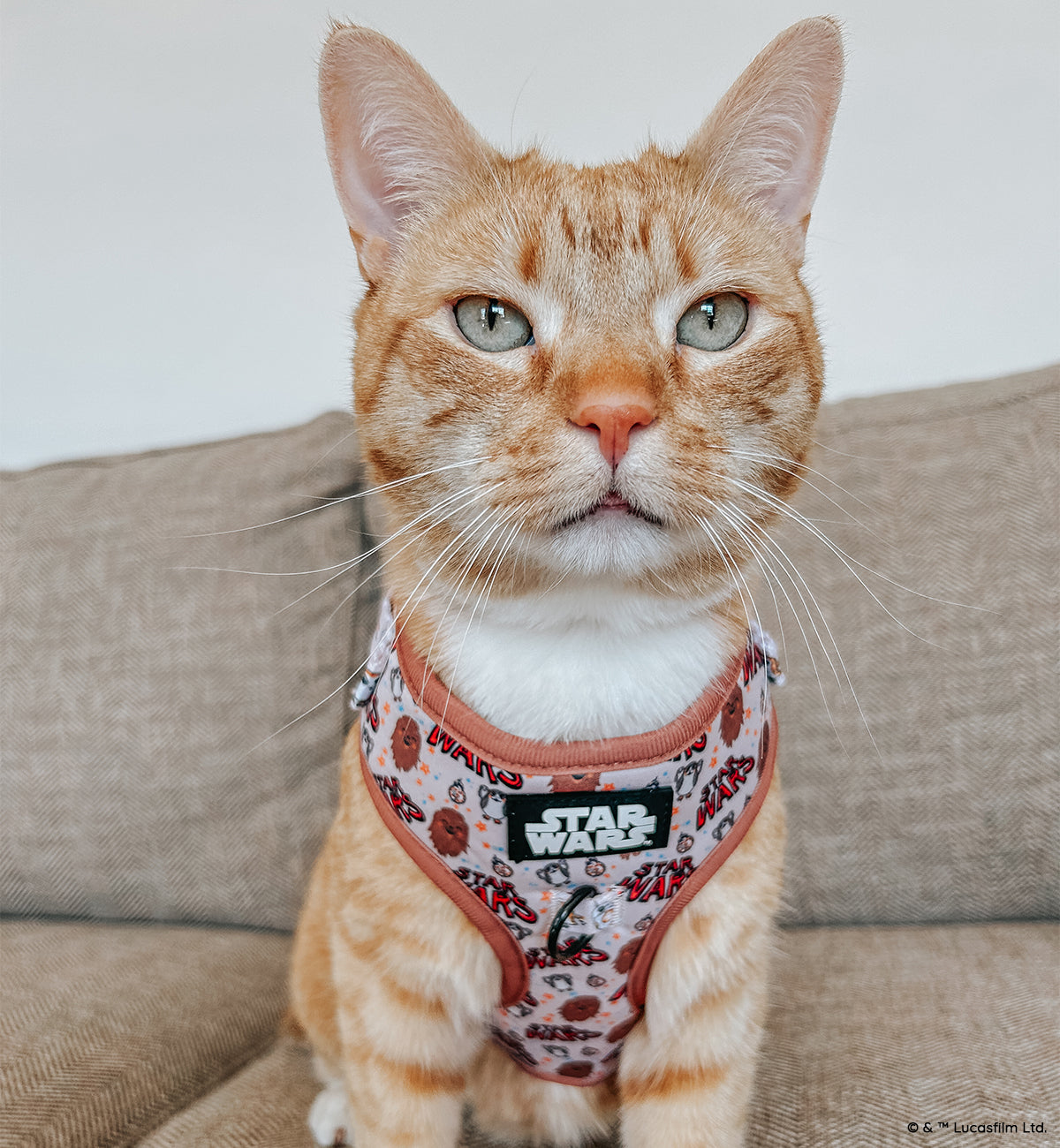 Dog Adjustable Harness - STAR WARS™ The Rebel Alliance