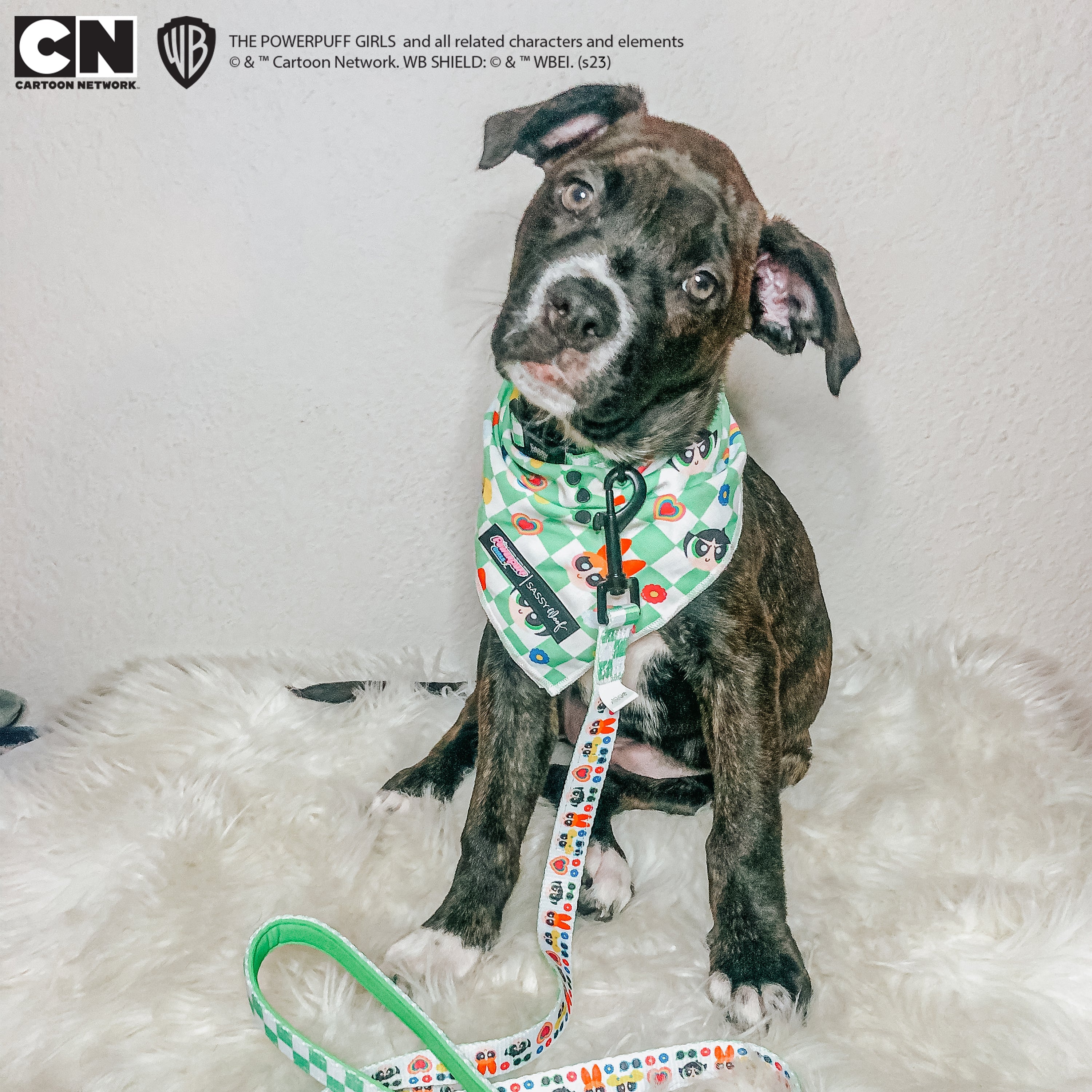 Dog Leash - The Powerpuff Girls™ (Green)