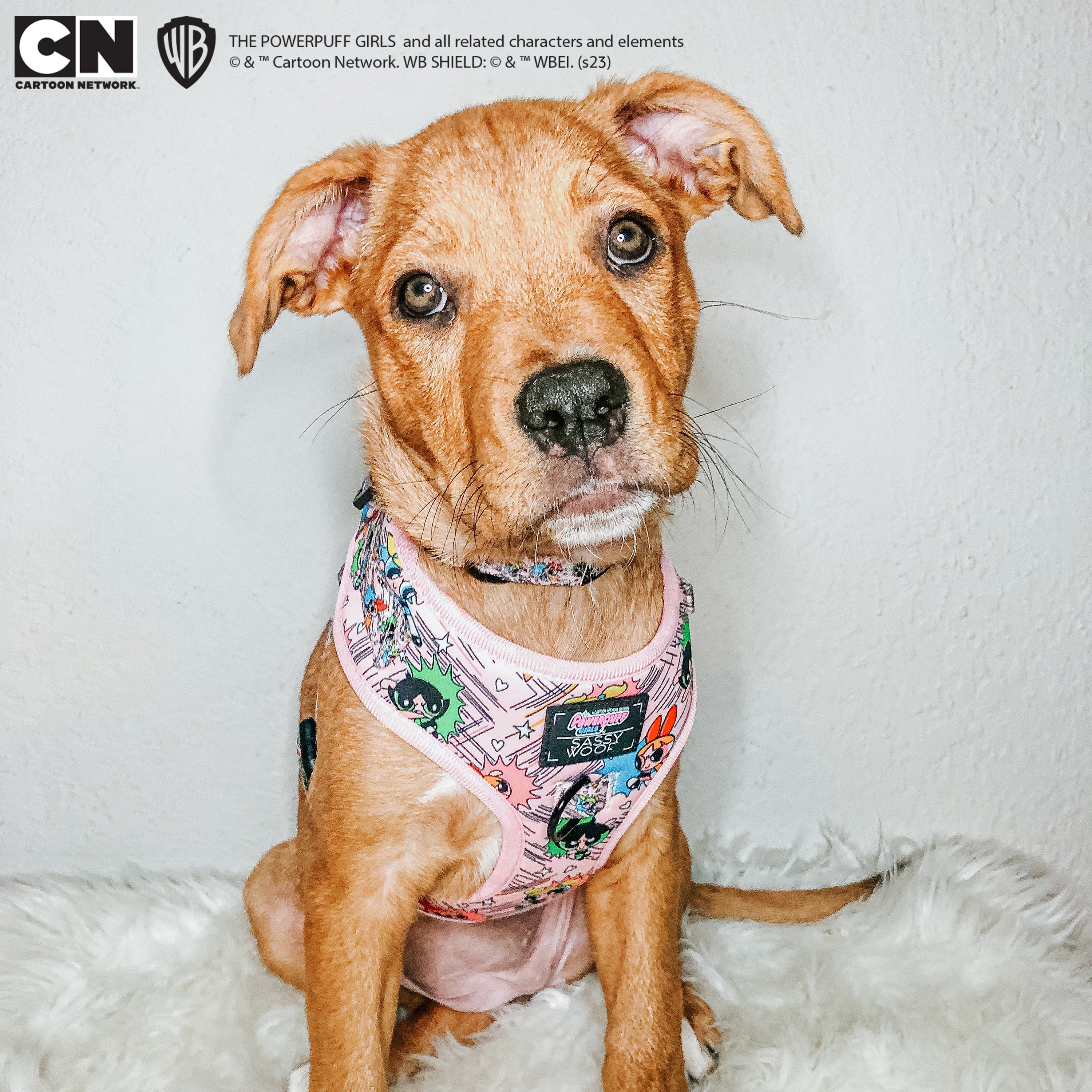 Dog Adjustable Harness - The Powerpuff Girls™ (Pink)