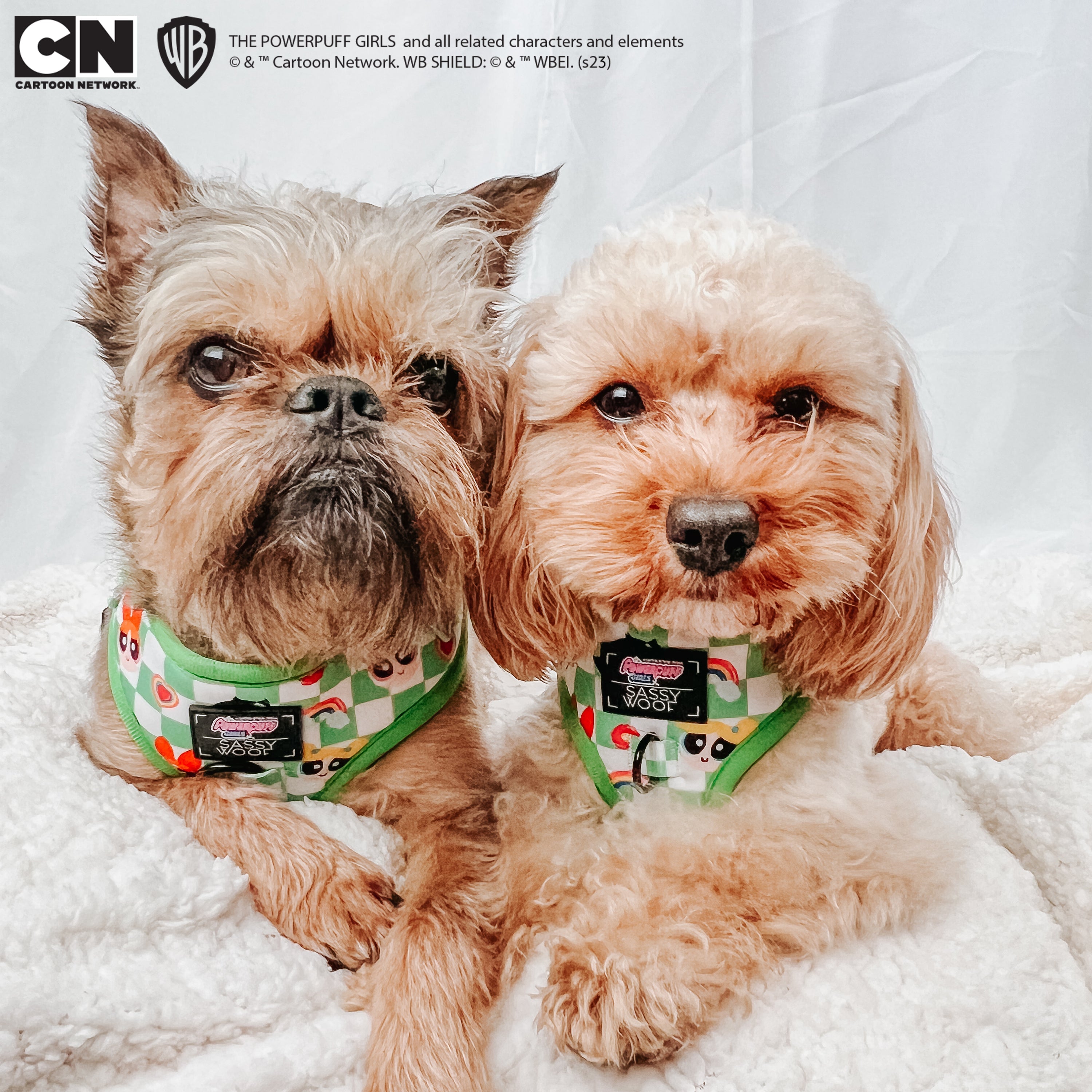 Dog Adjustable Harness - The Powerpuff Girls™ (Green)