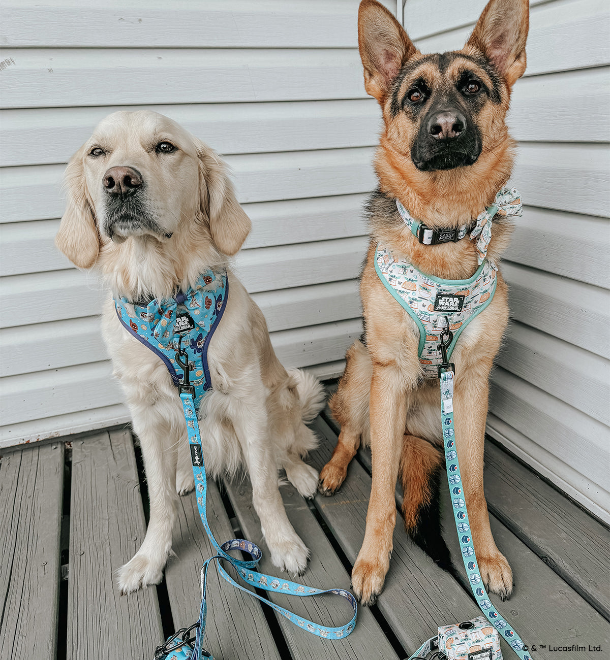 Dog Collar - STAR WARS™ The Child™