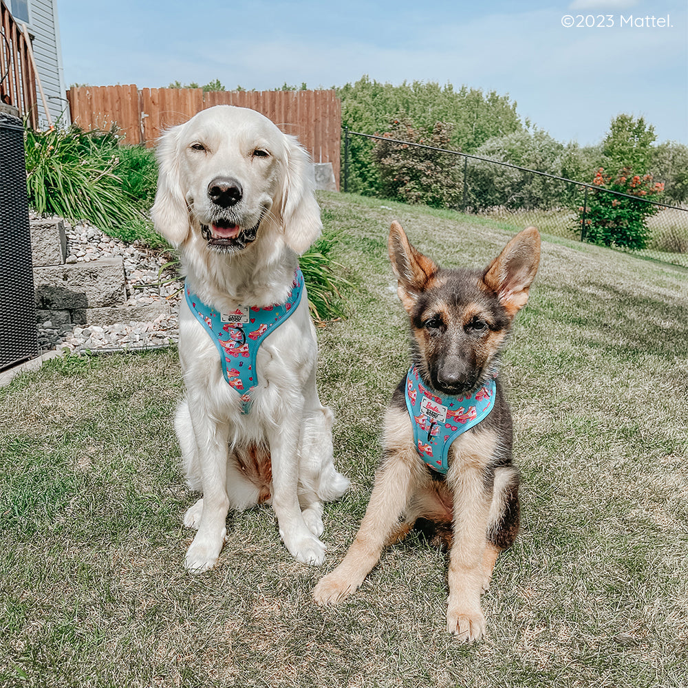Dog Adjustable Harness - BARBIE™ On a Roll