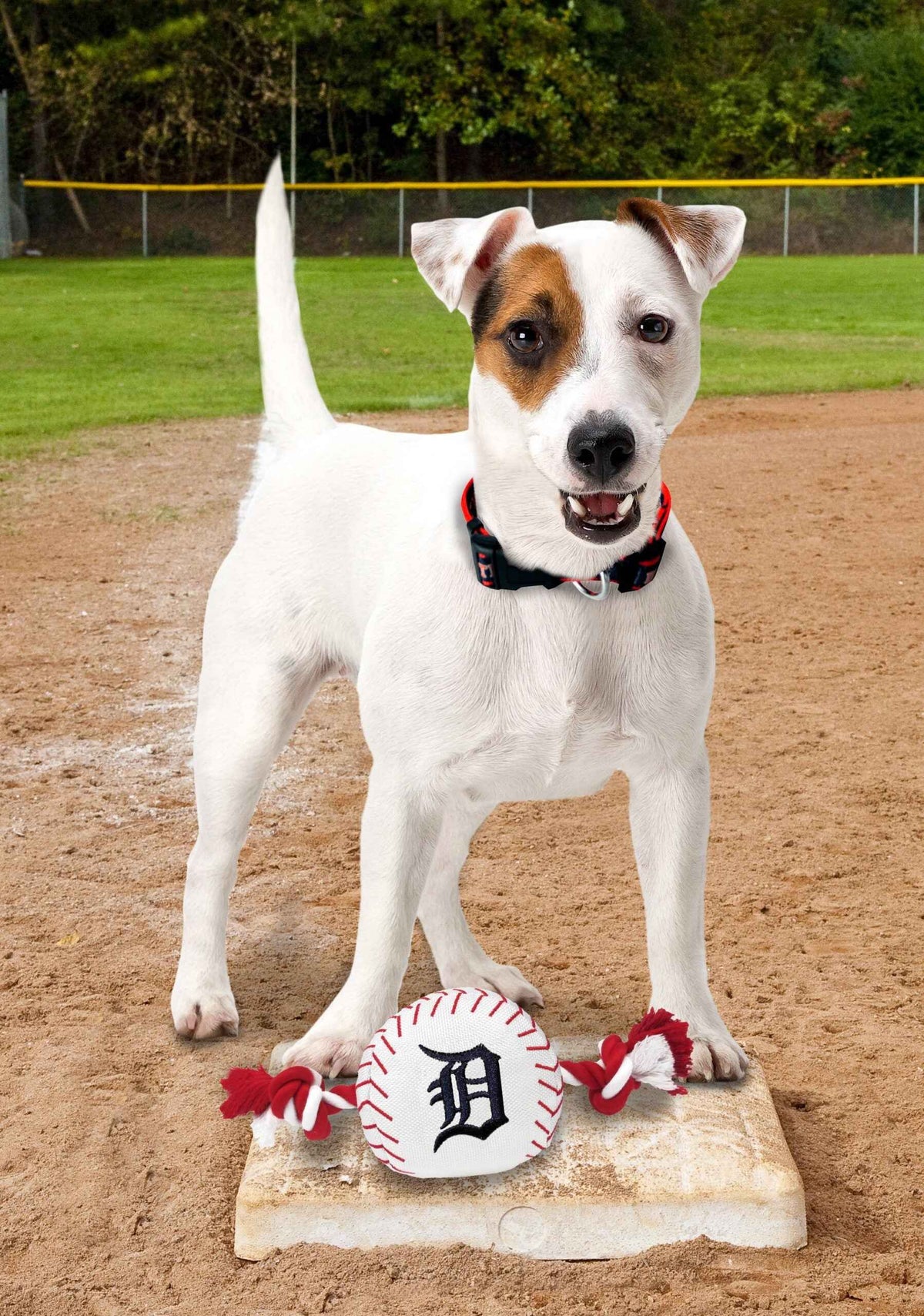Detroit Tigers Nylon Baseball Rope Toy