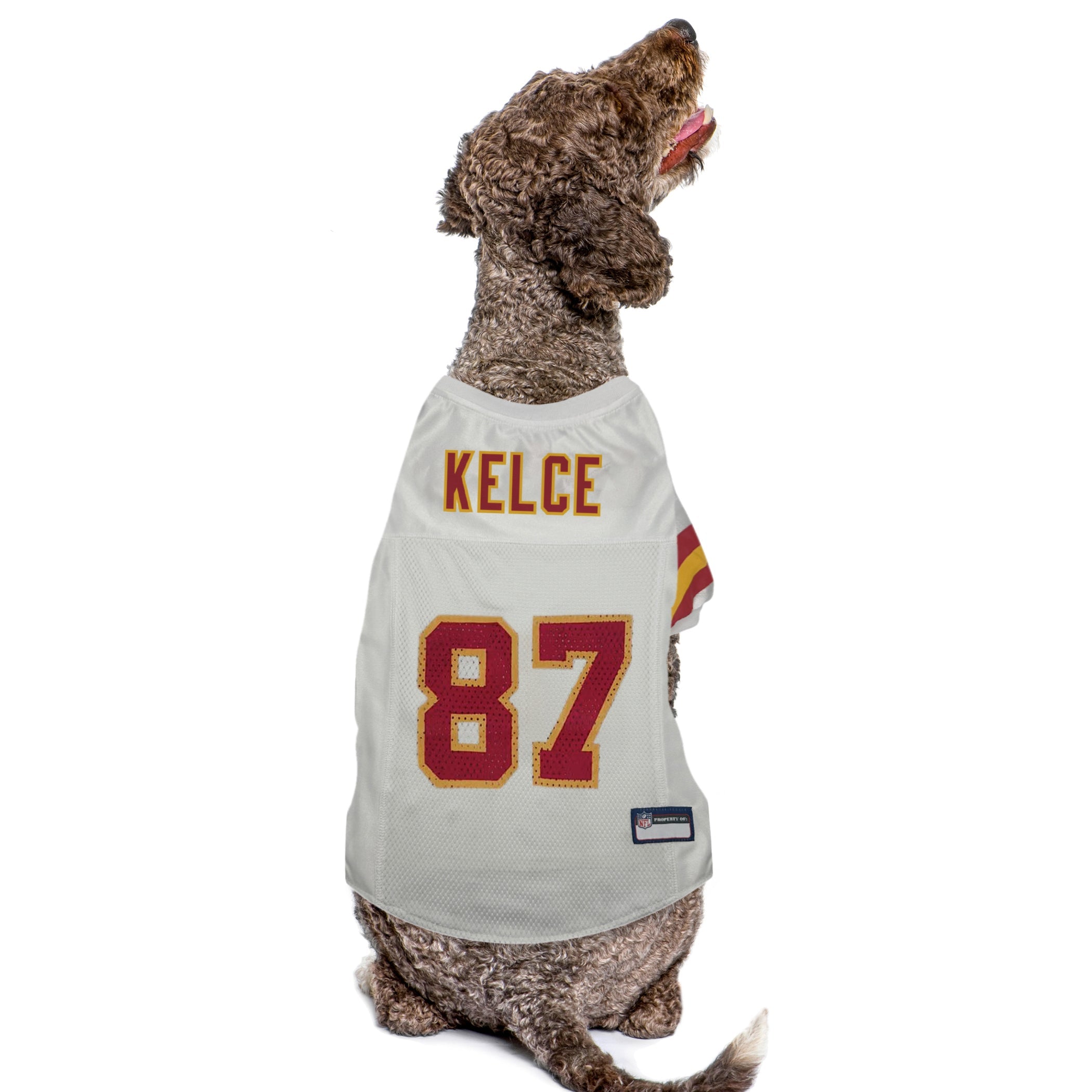 Travis Kelce Pet Road Jersey (KCC)