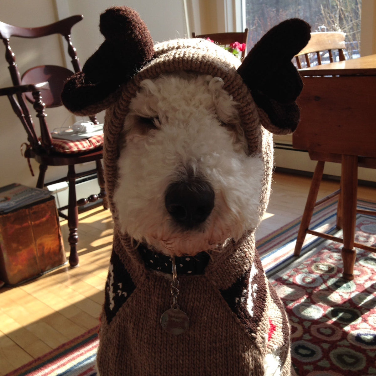 Chilly Dog Moosey Hoodie Dog Sweater
