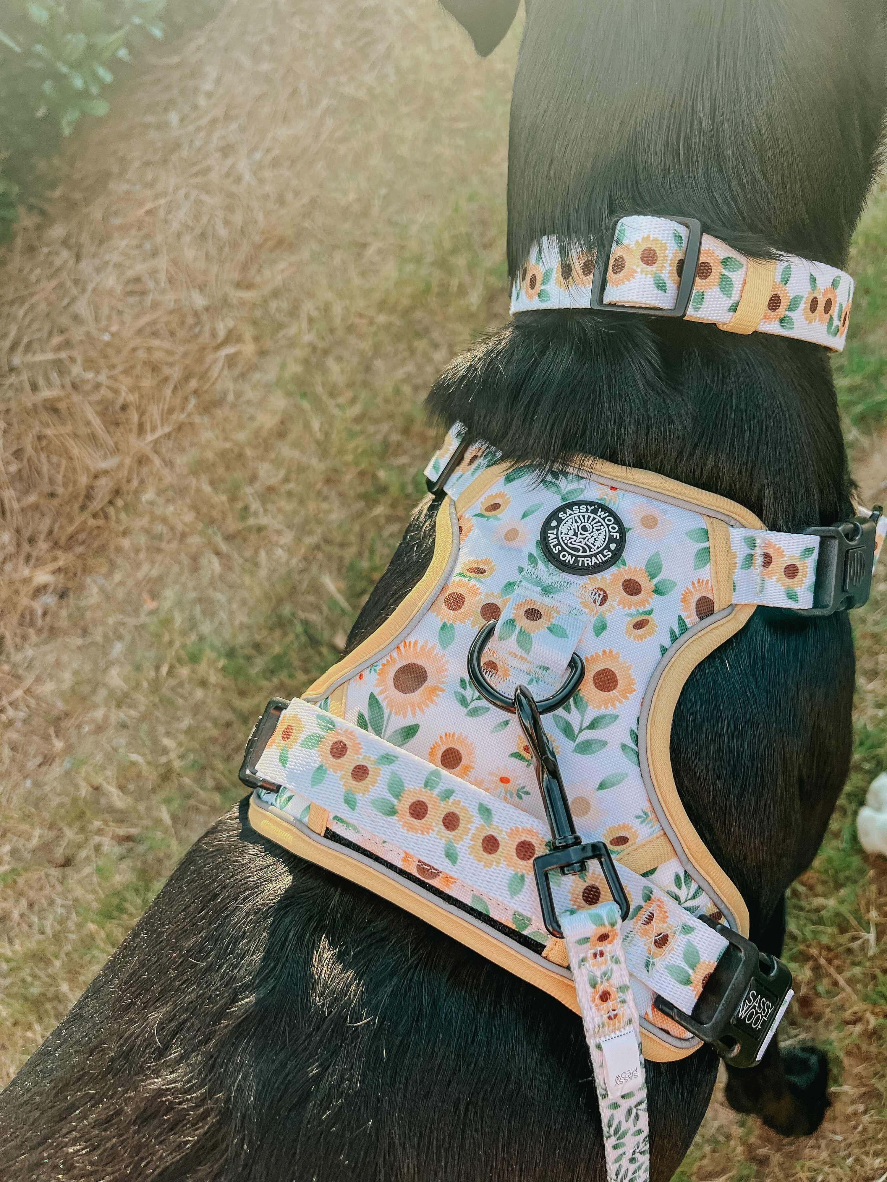 Dog Step-In Harness - Sunflower Dreams