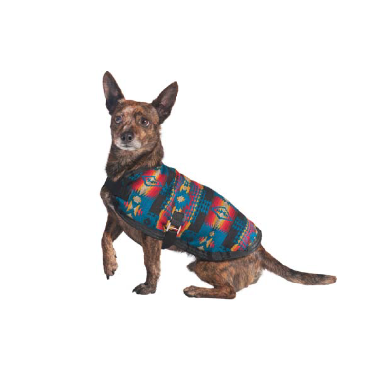 Chilly Dog Turquoise Southwest Fleece-Lined Dog Blanket Coat
