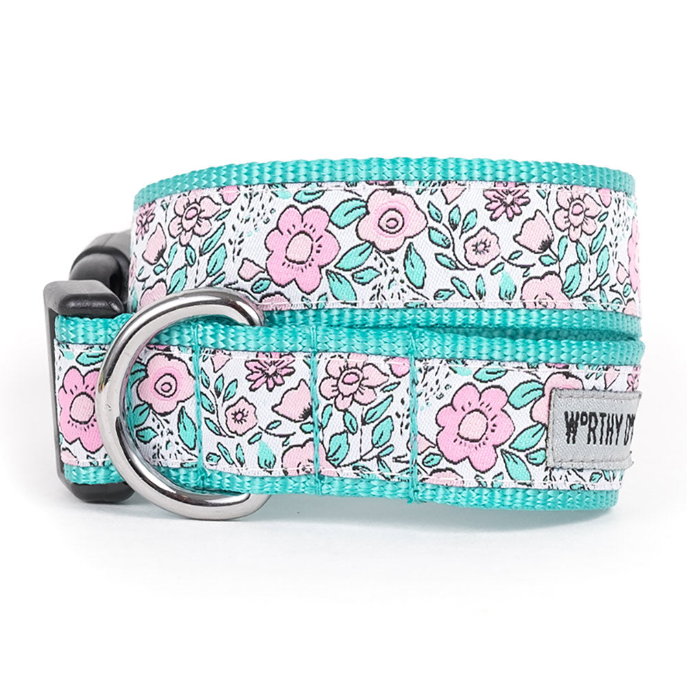 Garden Party Collar & Lead Collection