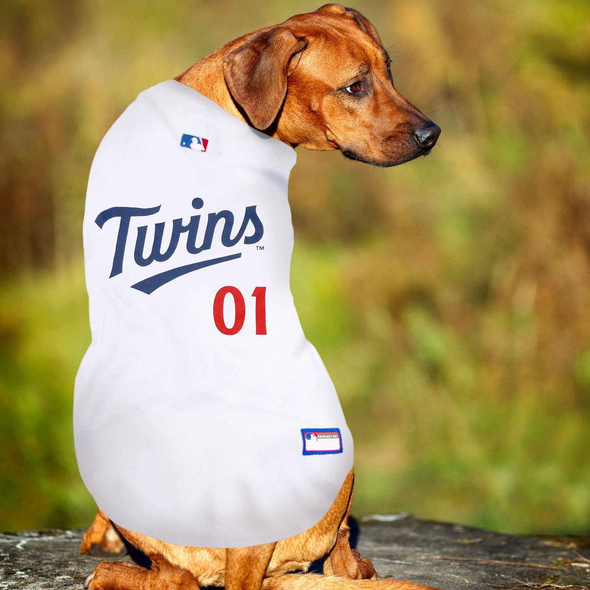 MLB Minnesota Twins Mesh Pet Jersey