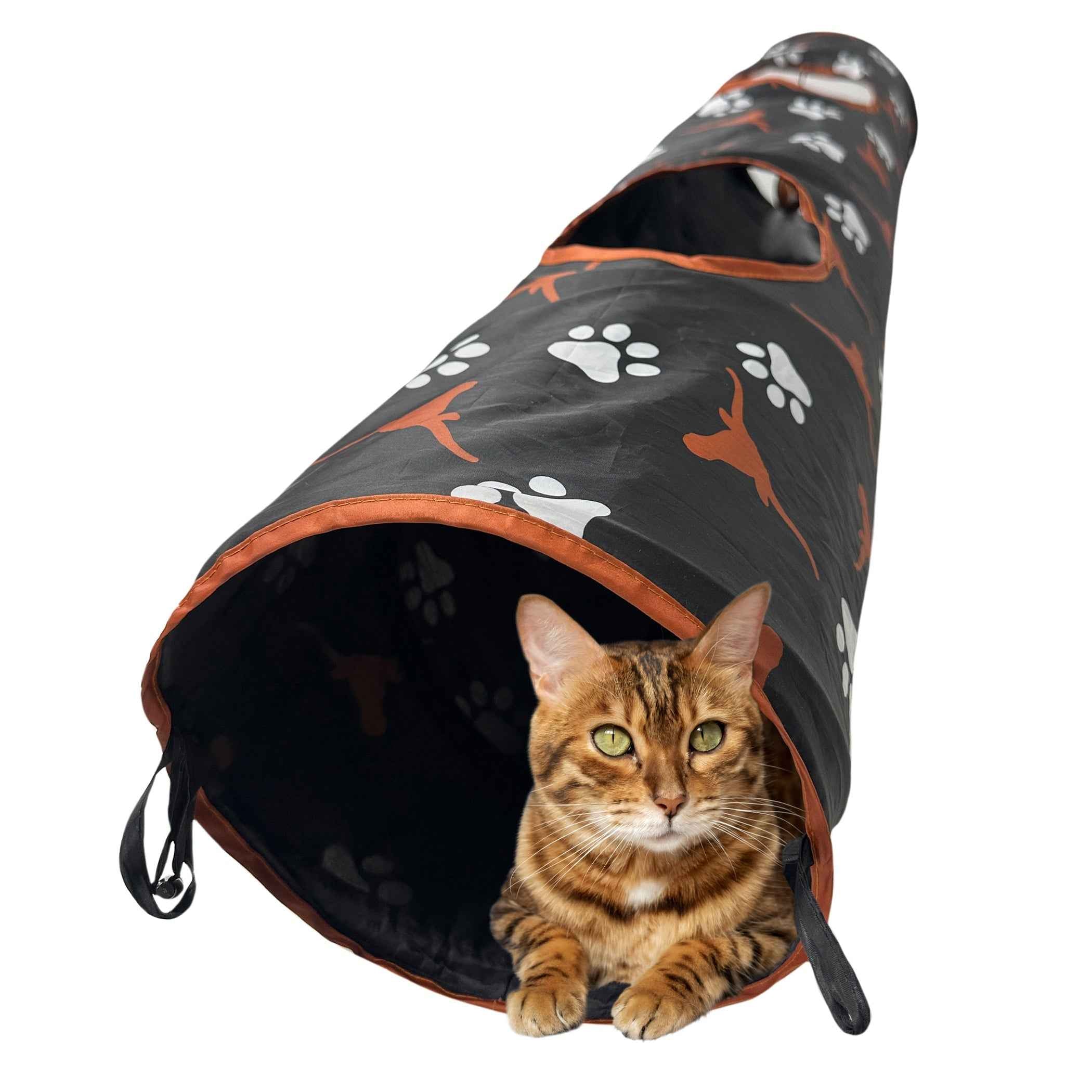 TEXAS LONGHORNS TUNNEL TOY
