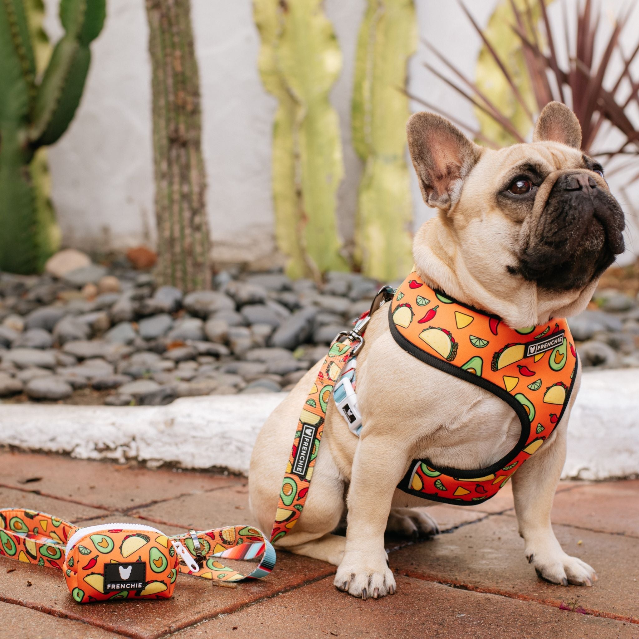Frenchie Duo Reversible Harness - Taco Tuesday- Orange