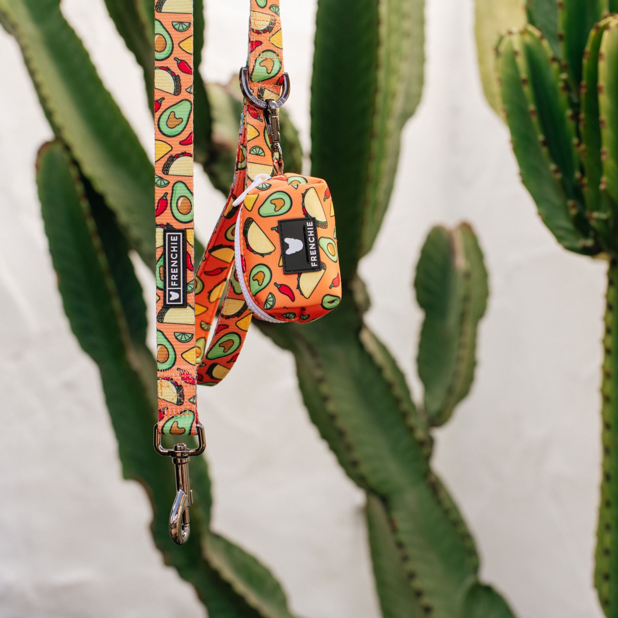 Frenchie Poo Bag Holder - Taco Tuesday (Orange)