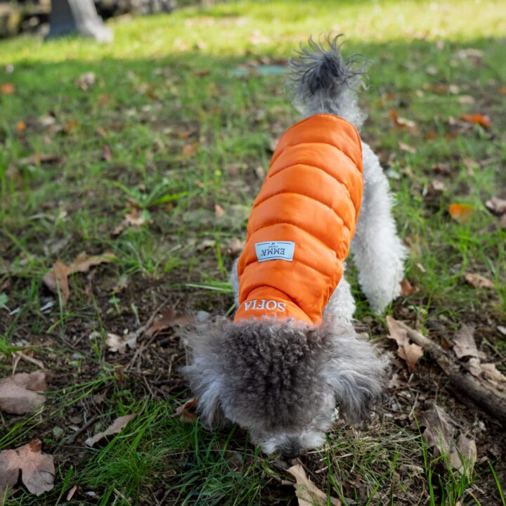 Tailored Pet Down Jacket in Paisely Cashmere Reversible