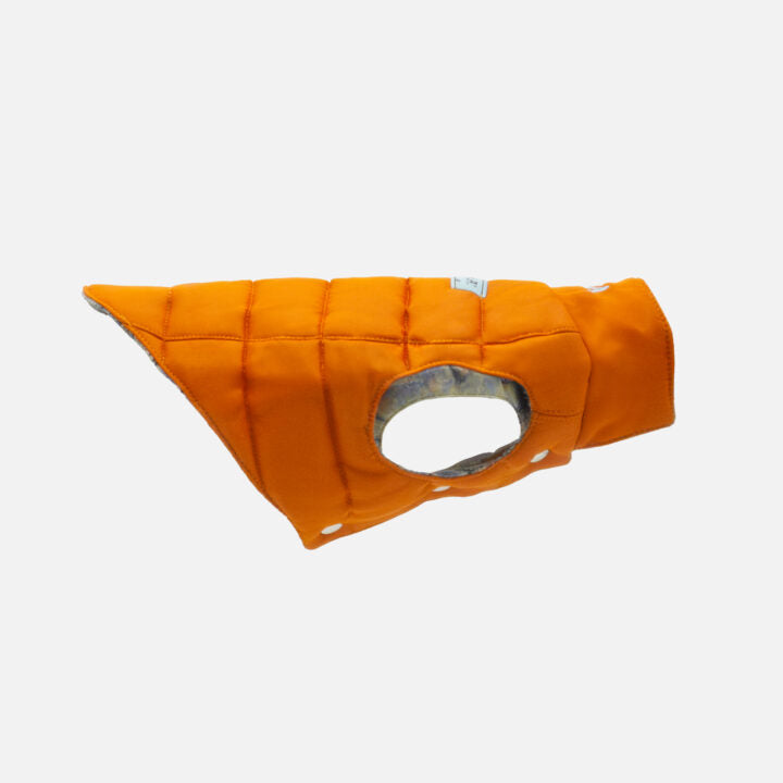 Tailored Pet Down Jacket in Paisely Cashmere Reversible