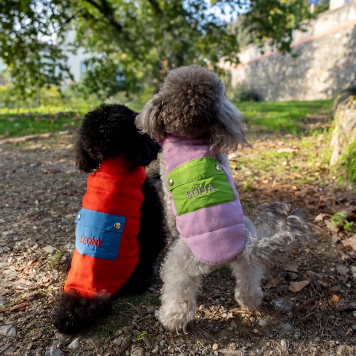 Tailored Pet Down Jacket in Red Cashmere Reversible