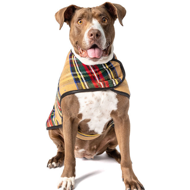 Chilly Dog Tan Tartan Plaid Fleece-Lined Dog Blanket Coat