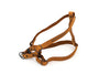 Euro-Dog Sport Leather Step-In Dog Harness