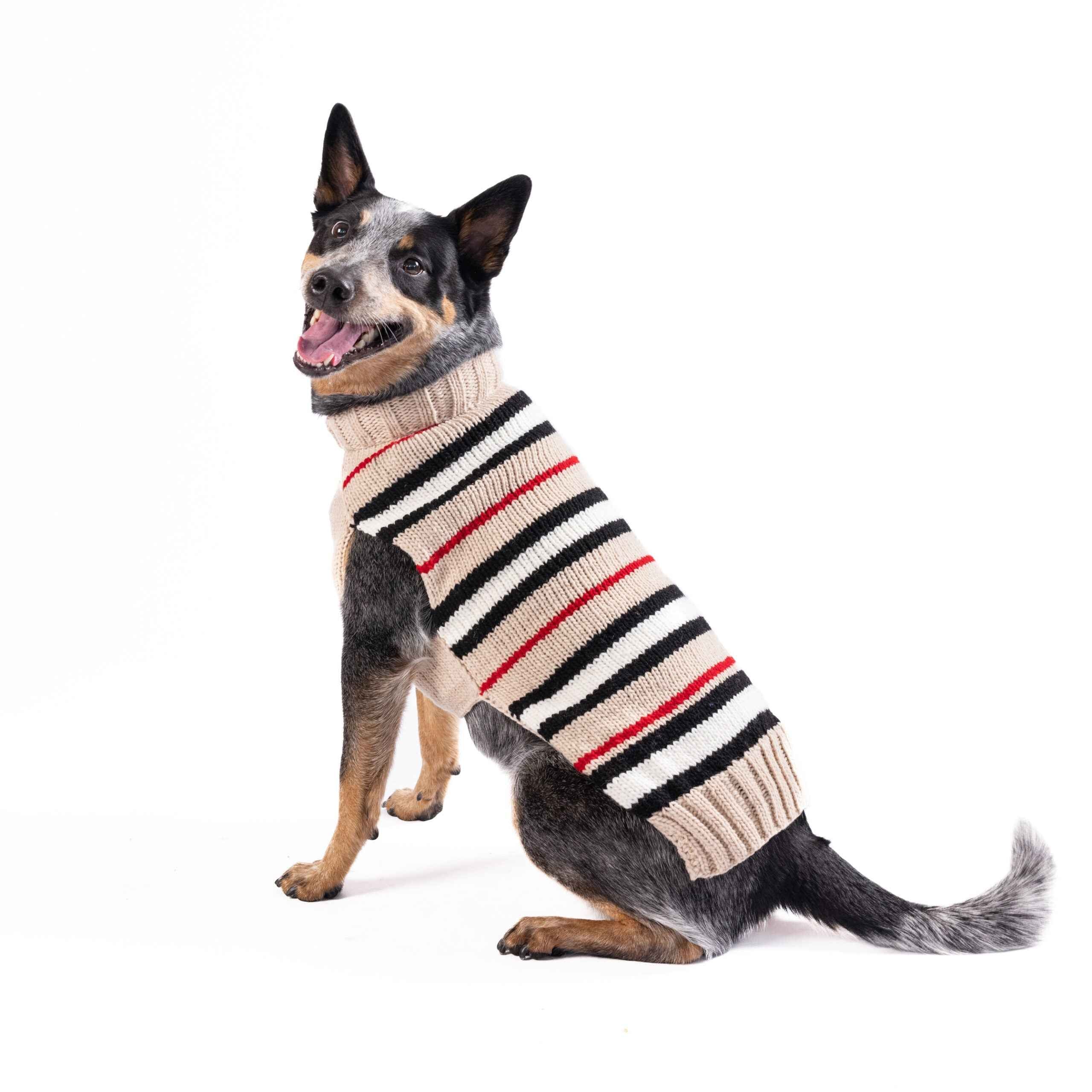 Chilly Dog Bentley Stripe Alpaca Wool Dog Sweater