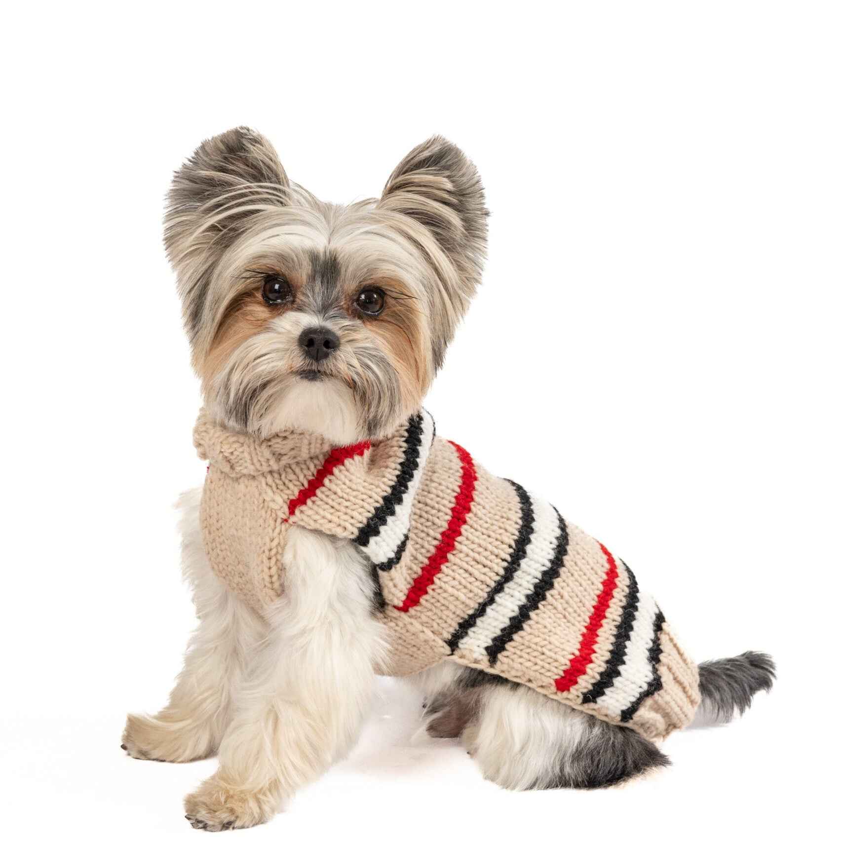 Chilly Dog Bentley Stripe Alpaca Wool Dog Sweater