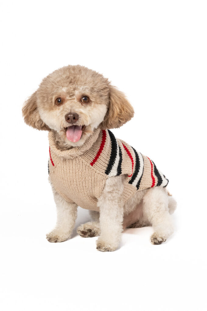 Alpaca Bentley Stripe Dog Sweater