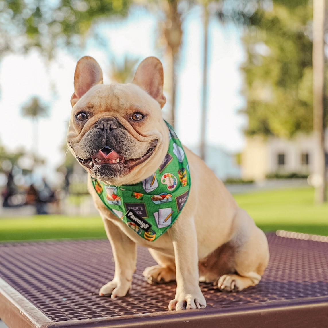 Teachers Pet Cooling Bandana